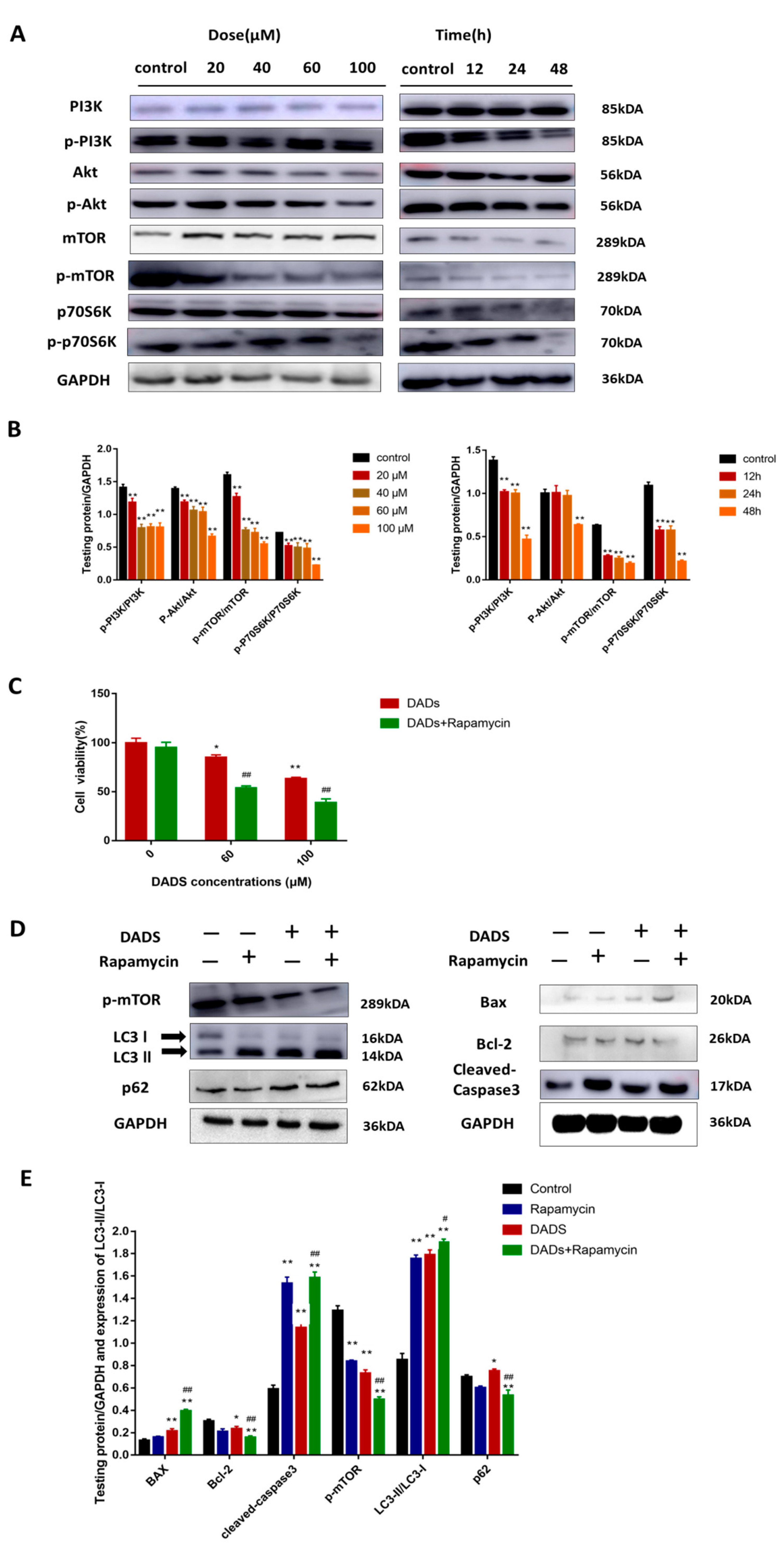 Molecules 24 02665 g004