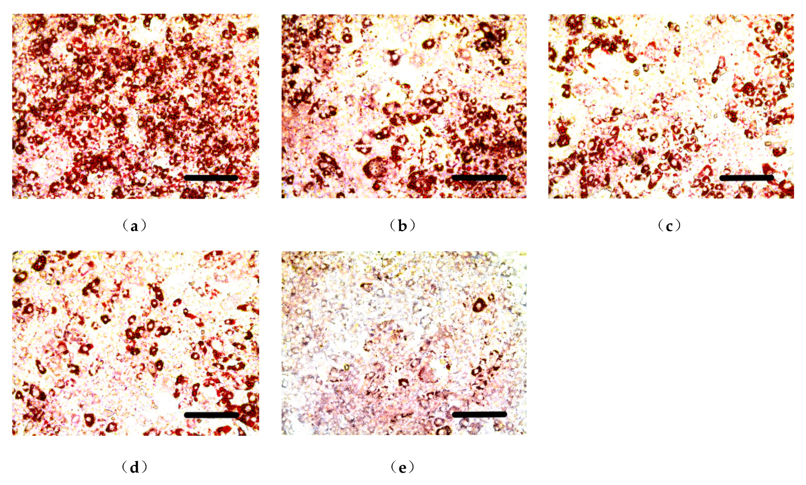 Molecules 24 02673 g001