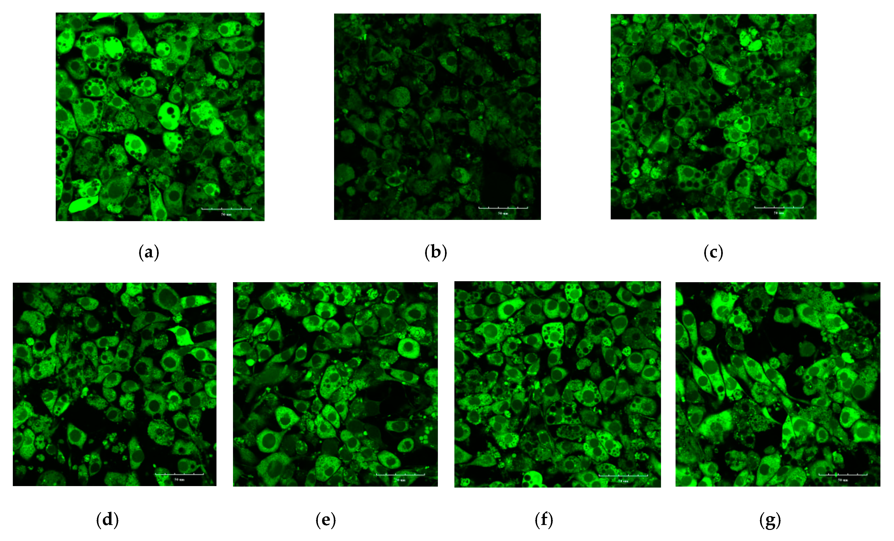 Molecules 24 02673 g004