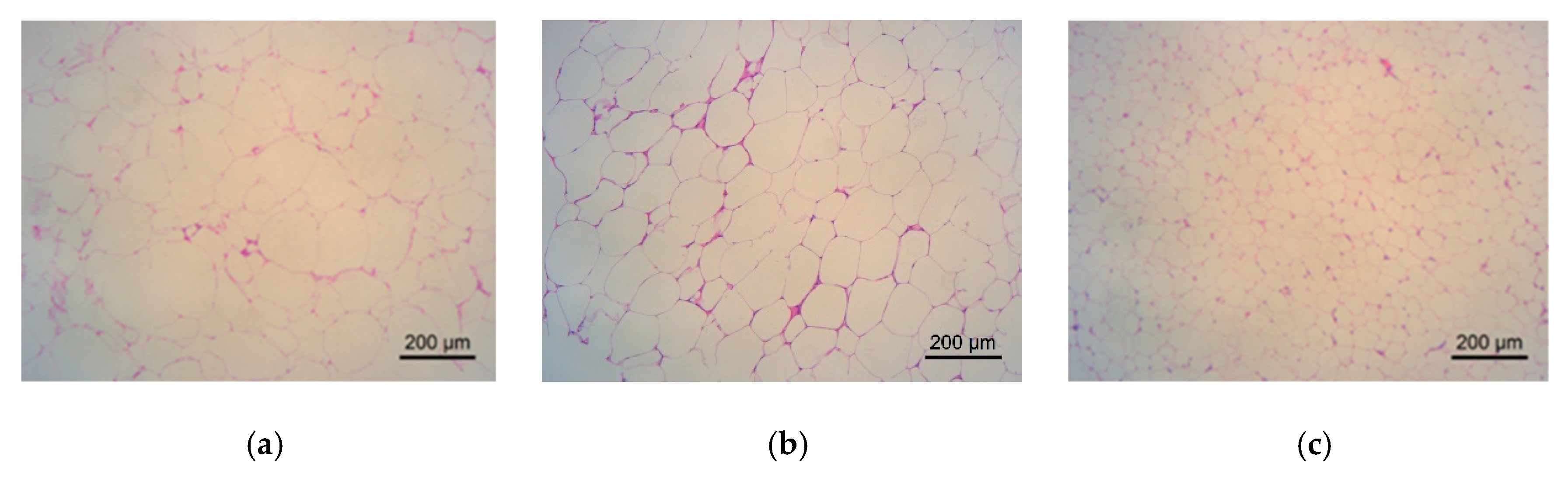 Molecules 24 02673 g008a