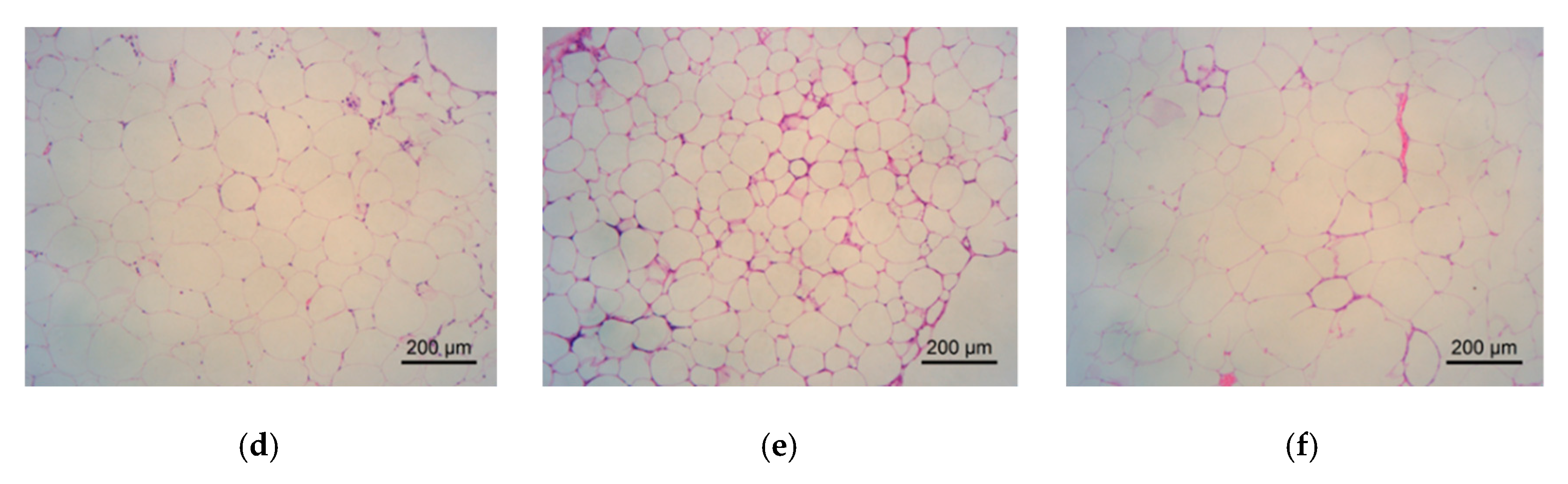 Molecules 24 02673 g008b