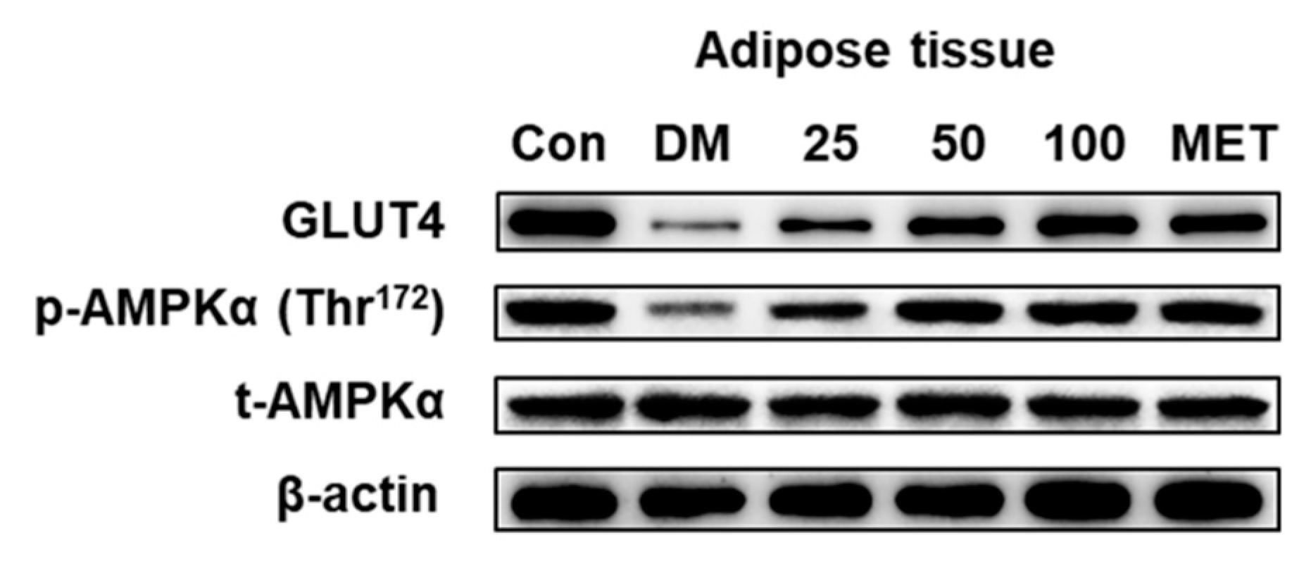 Molecules 24 02673 g014