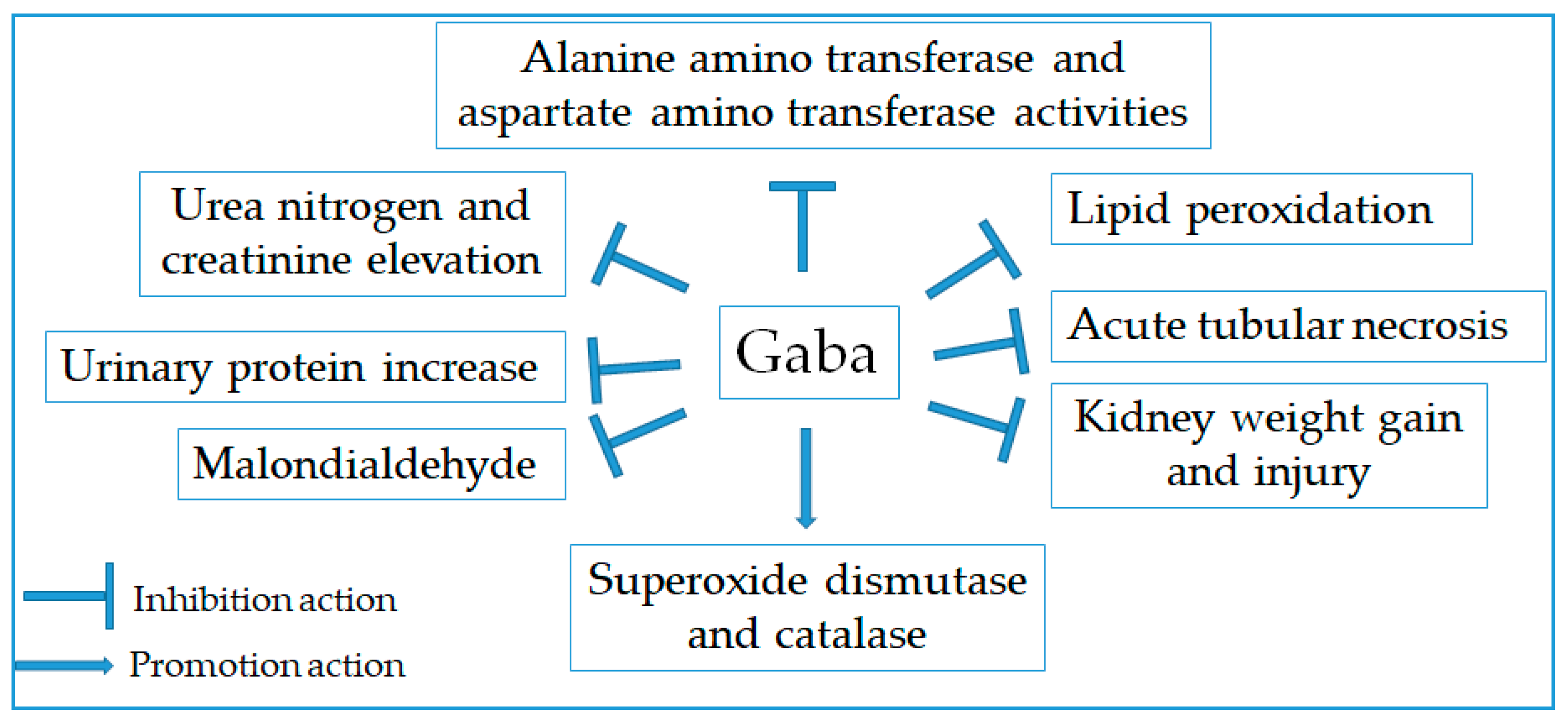Molecules 24 02678 g008