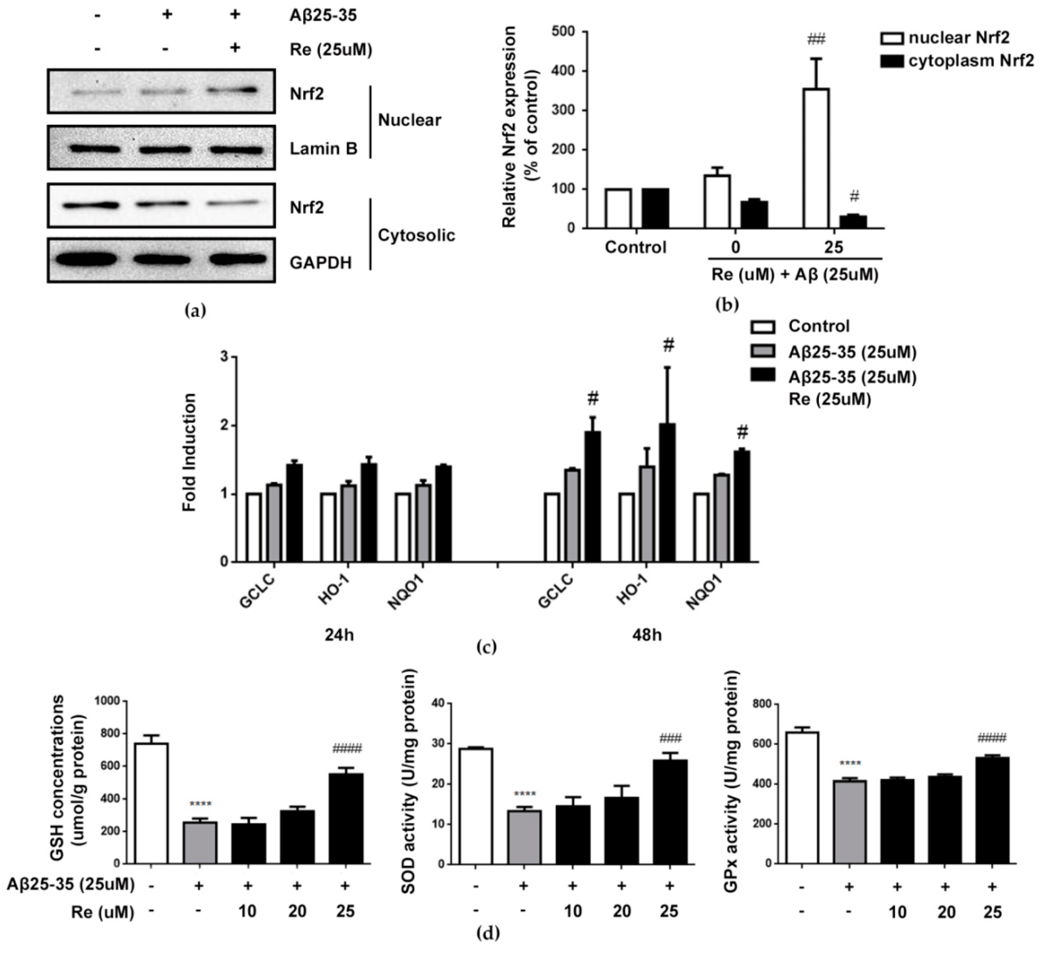 Molecules 24 02687 g005