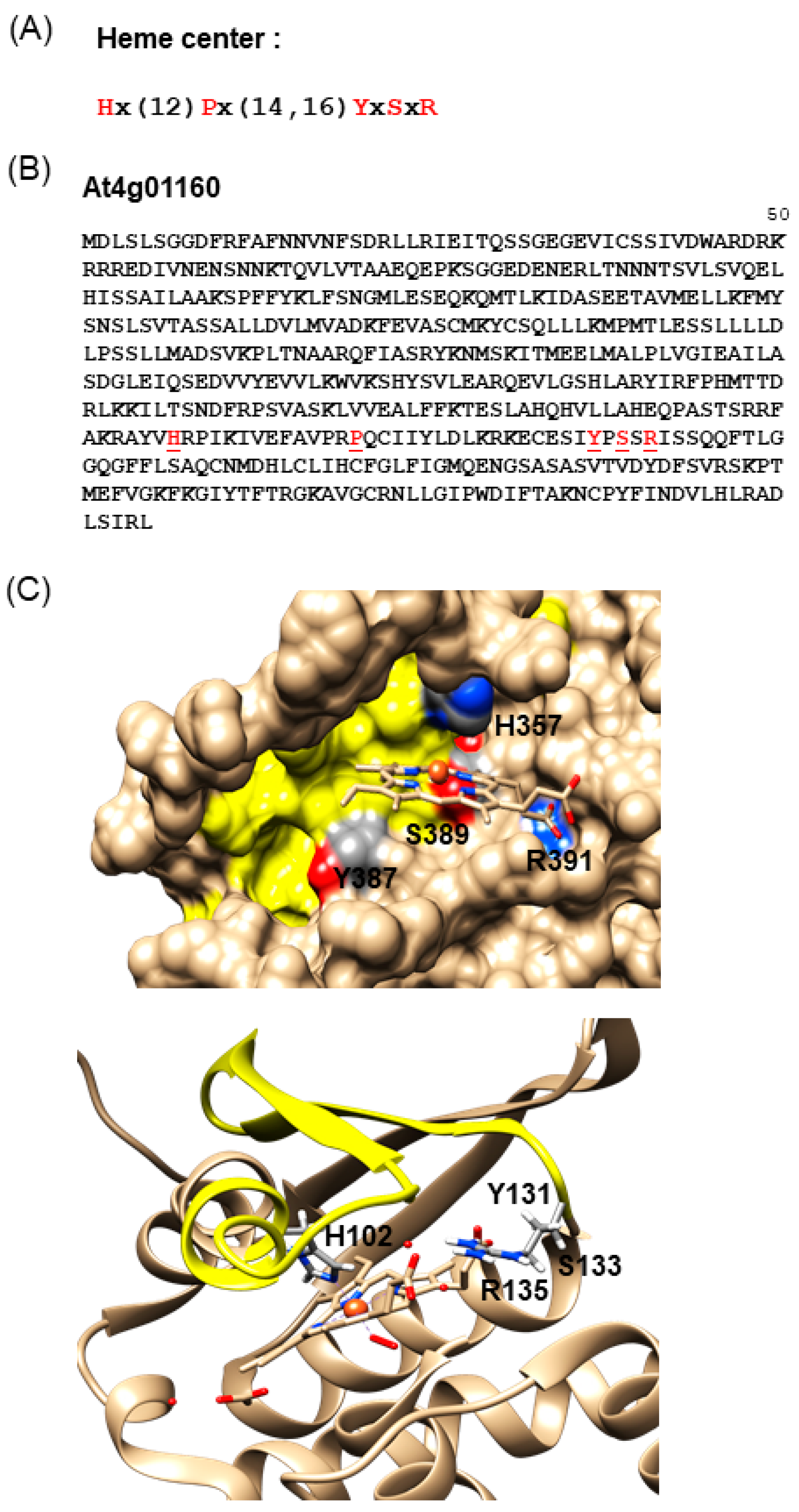 Molecules 24 02691 g001