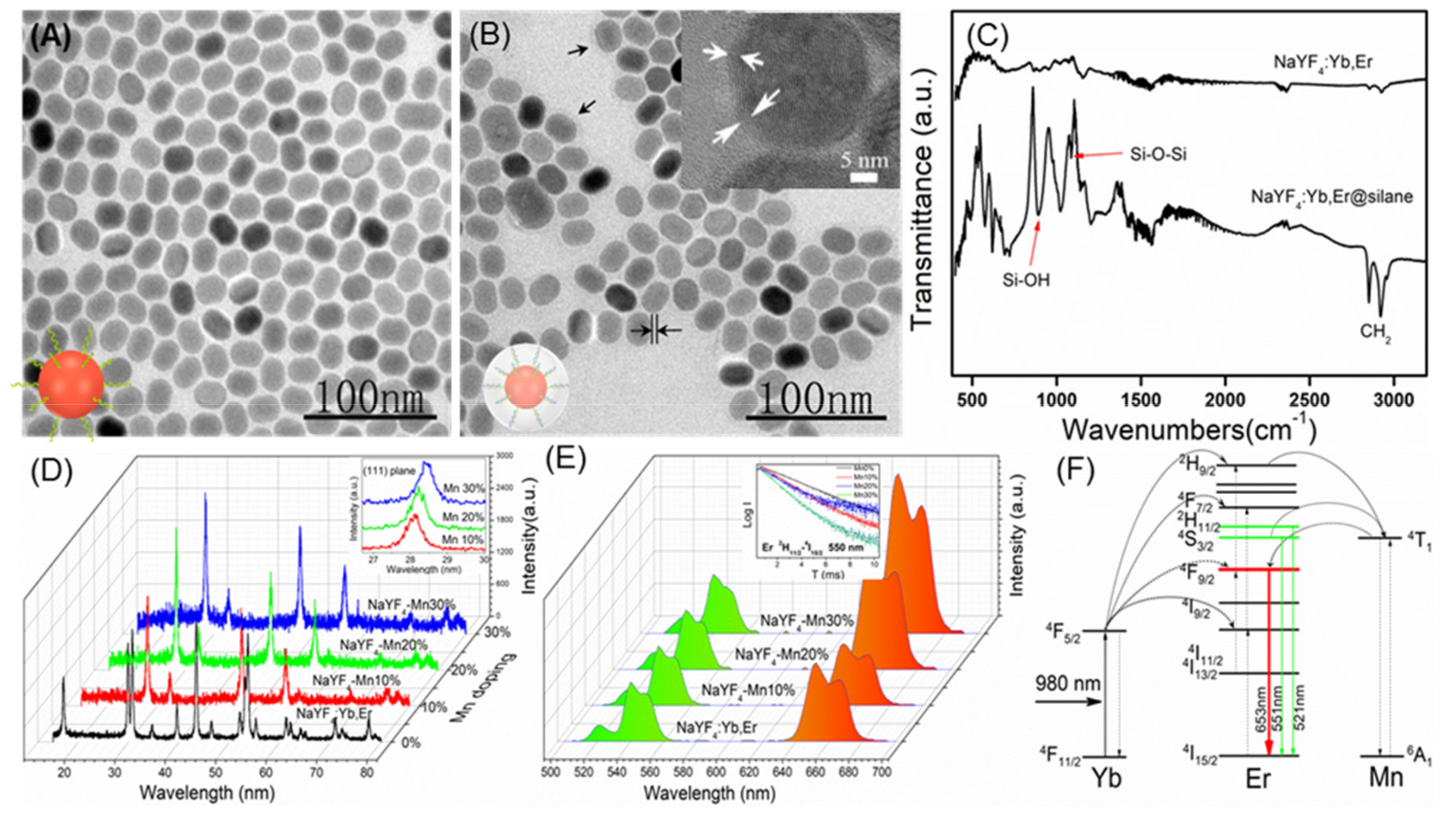 Molecules 24 02692 g002