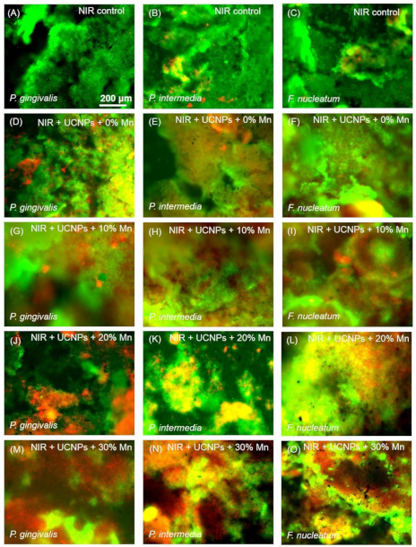 Molecules 24 02692 g004