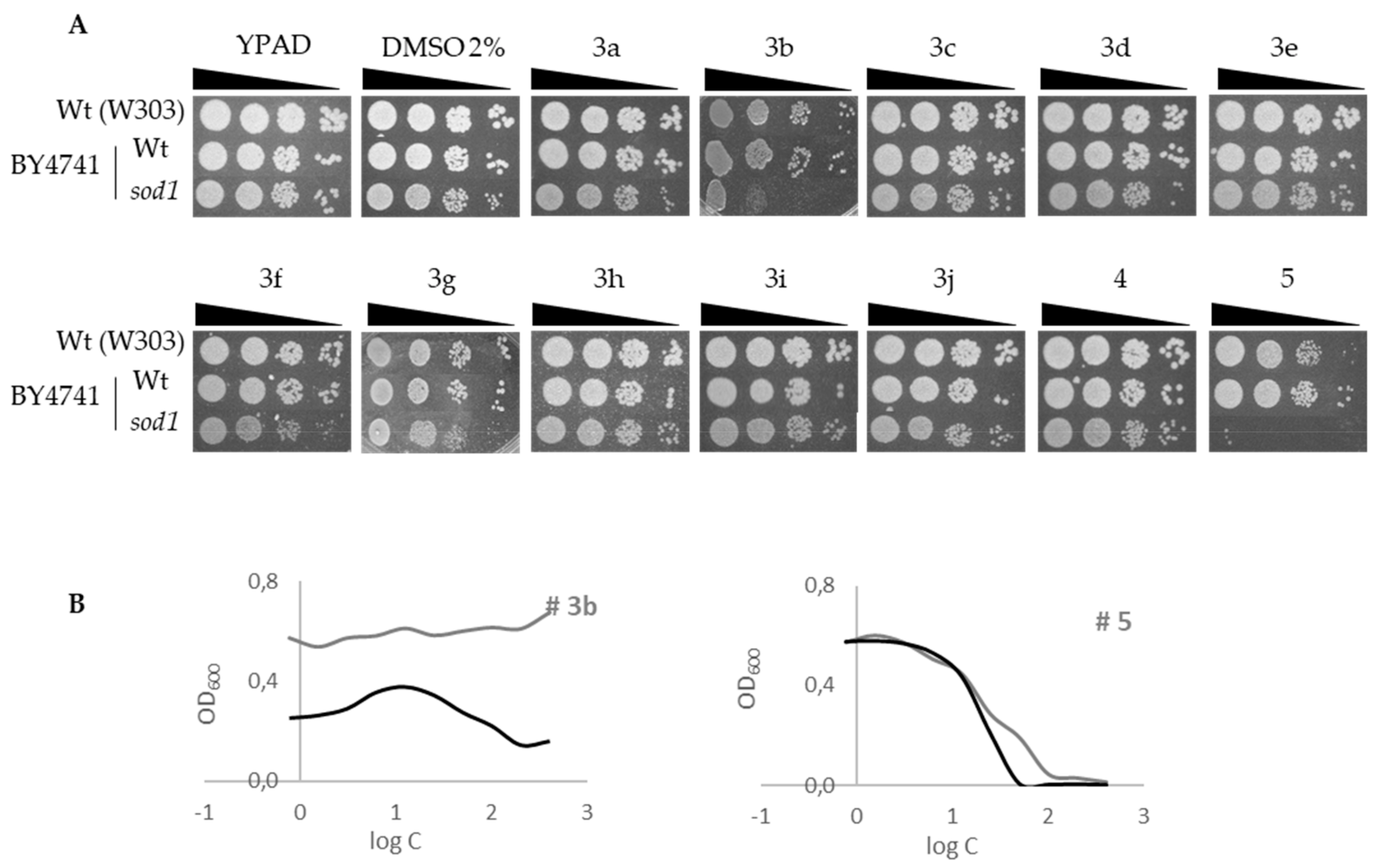 Molecules 24 02696 g003