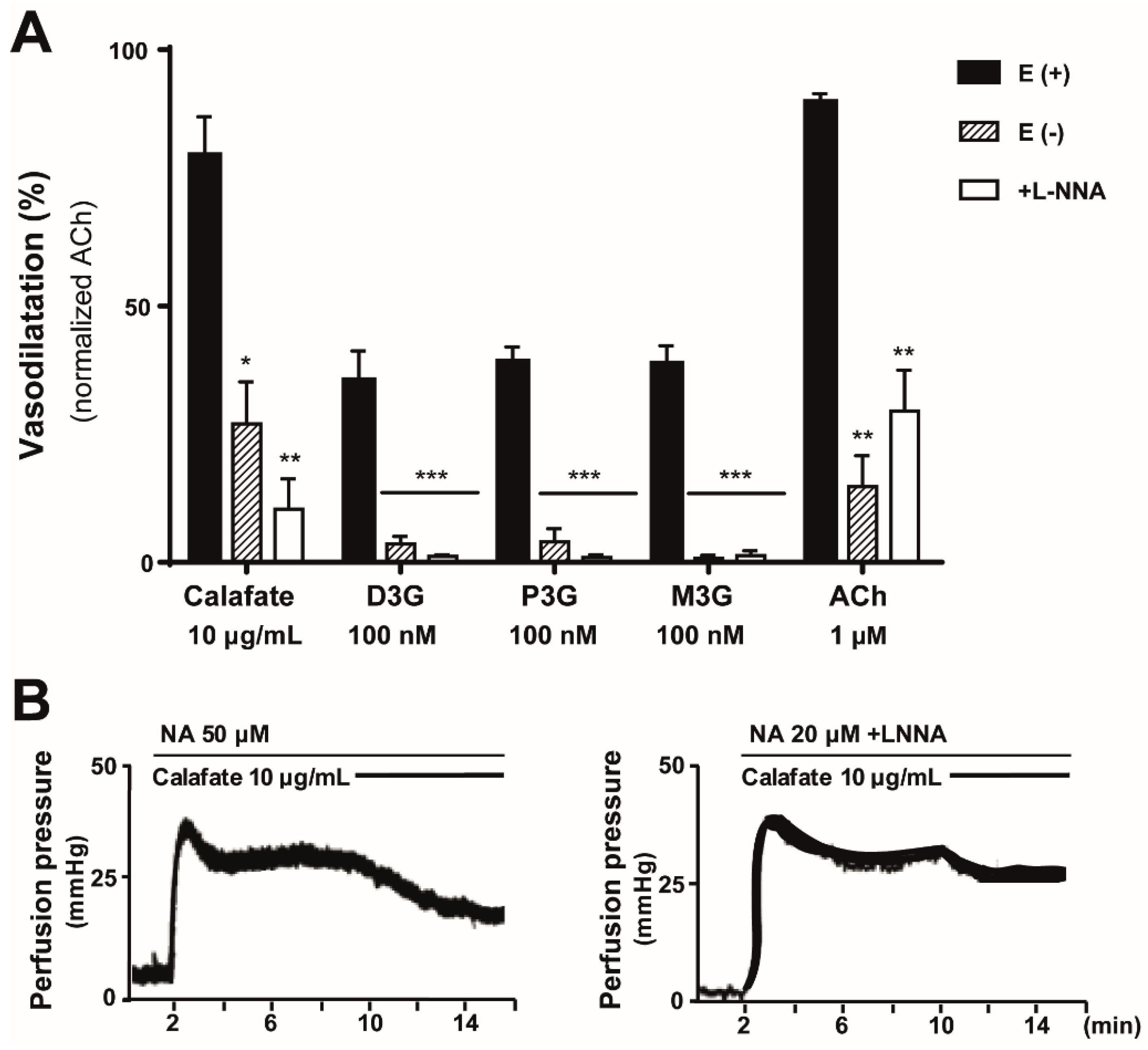 Molecules 24 02700 g004