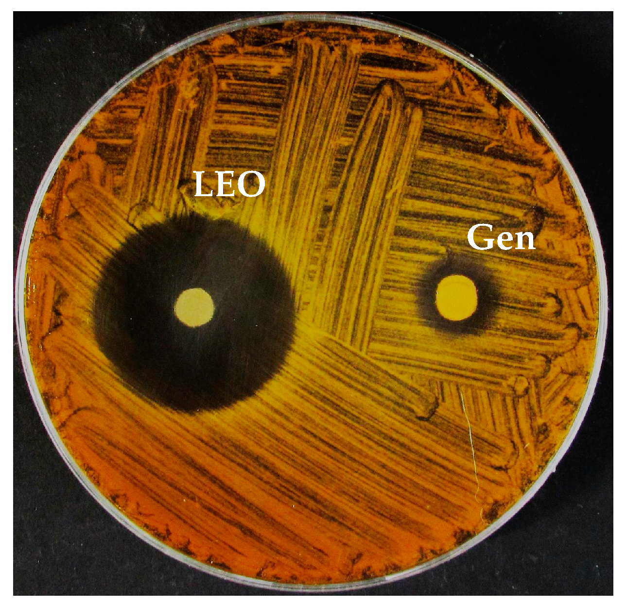Molecules 24 02701 g001