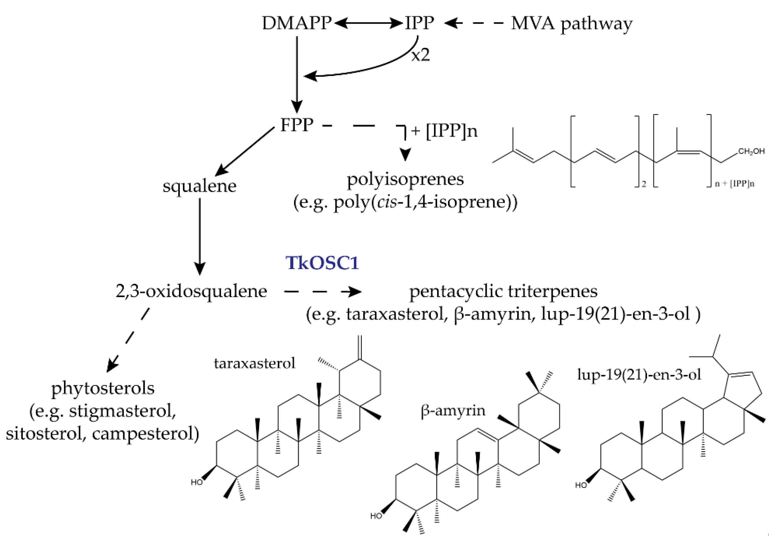 Molecules 24 02703 g001 Molecules 24 02703 g001