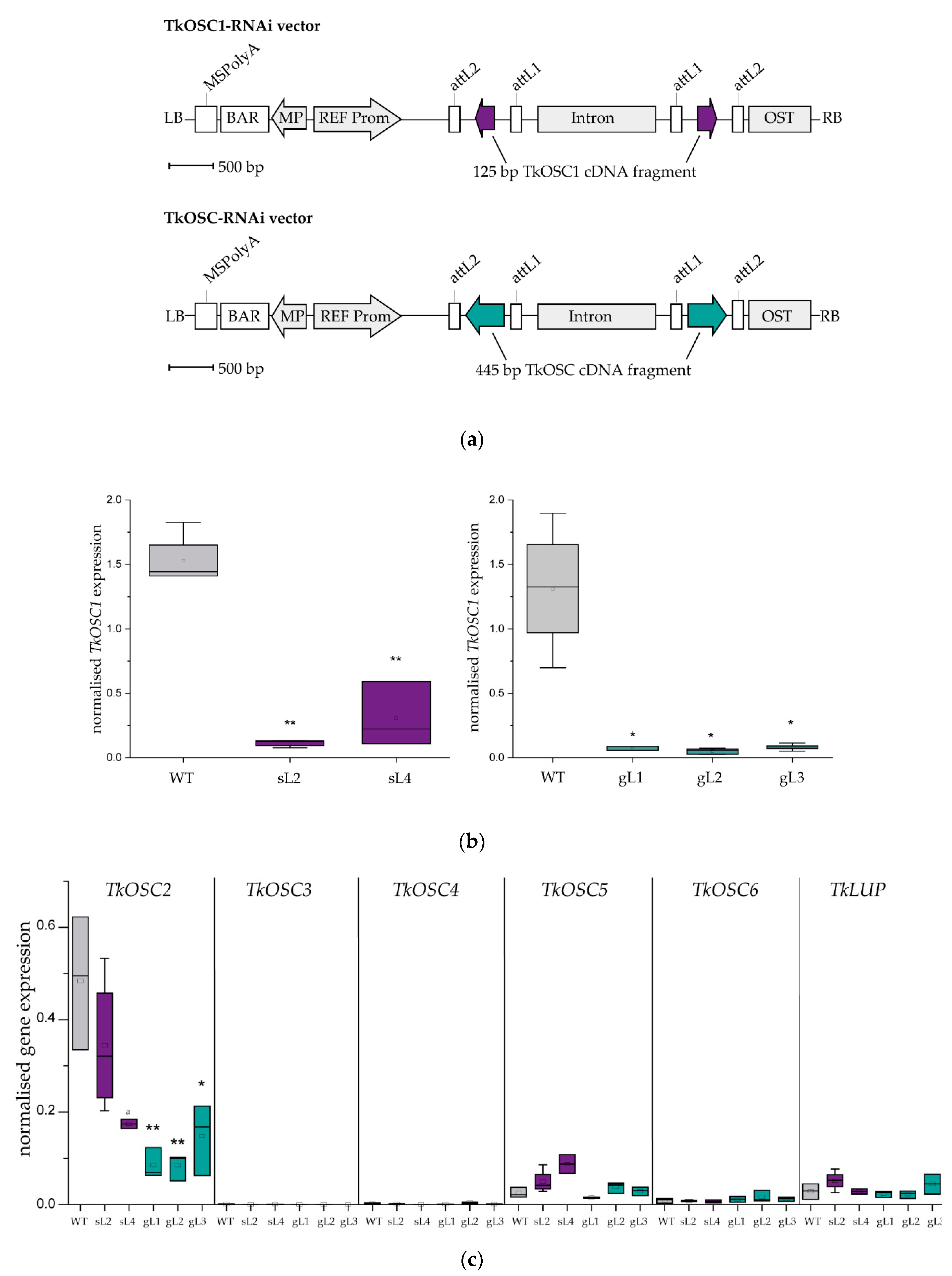 Molecules 24 02703 g002 Molecules 24 02703 g002