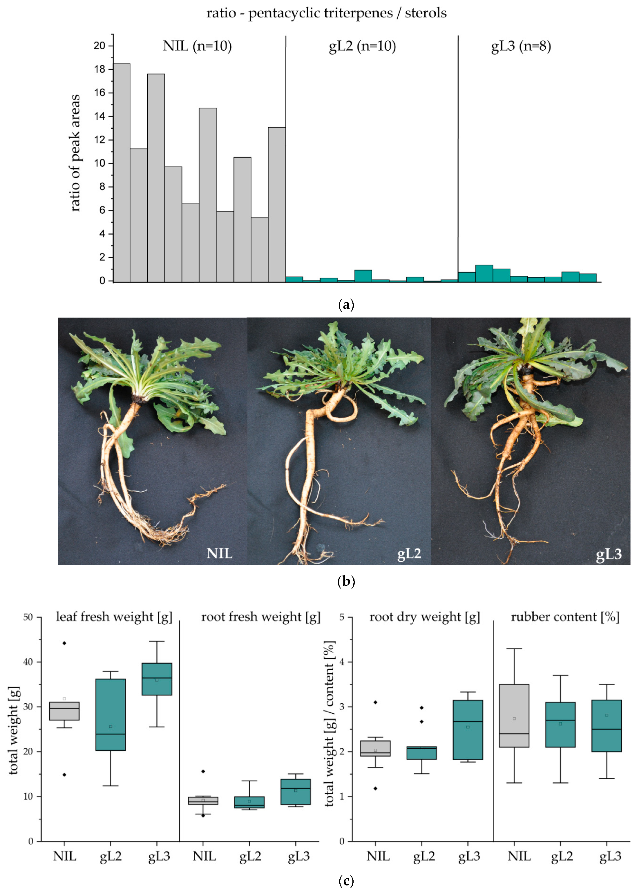 Molecules 24 02703 g004 Molecules 24 02703 g004
