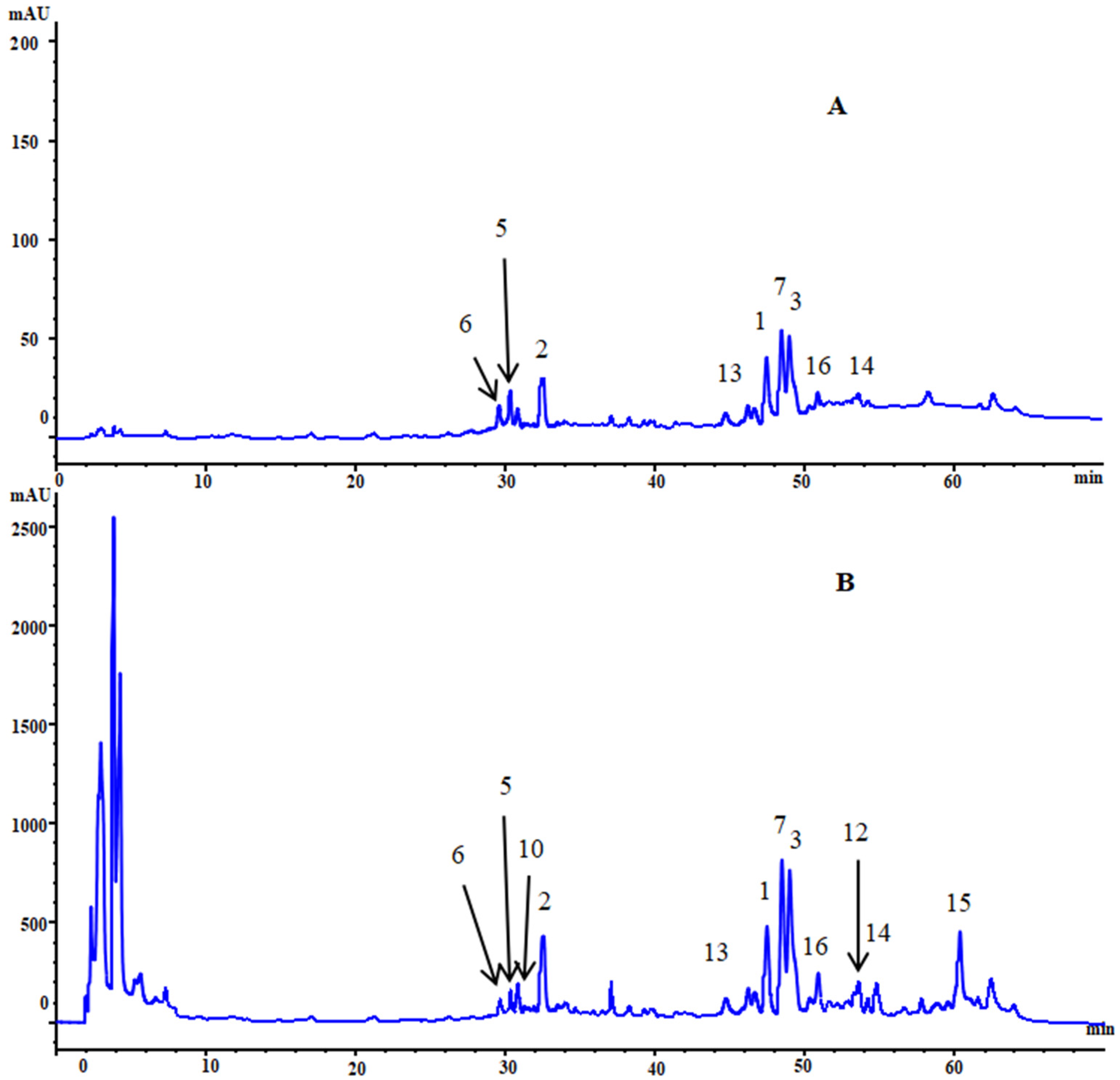 Molecules 24 02705 g002