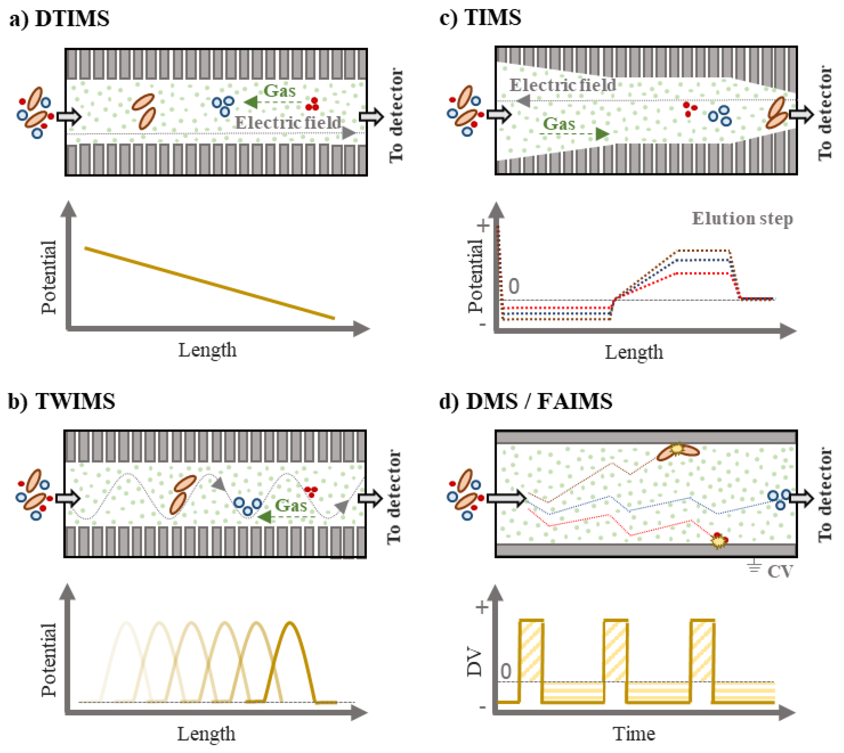Molecules 24 02706 g002