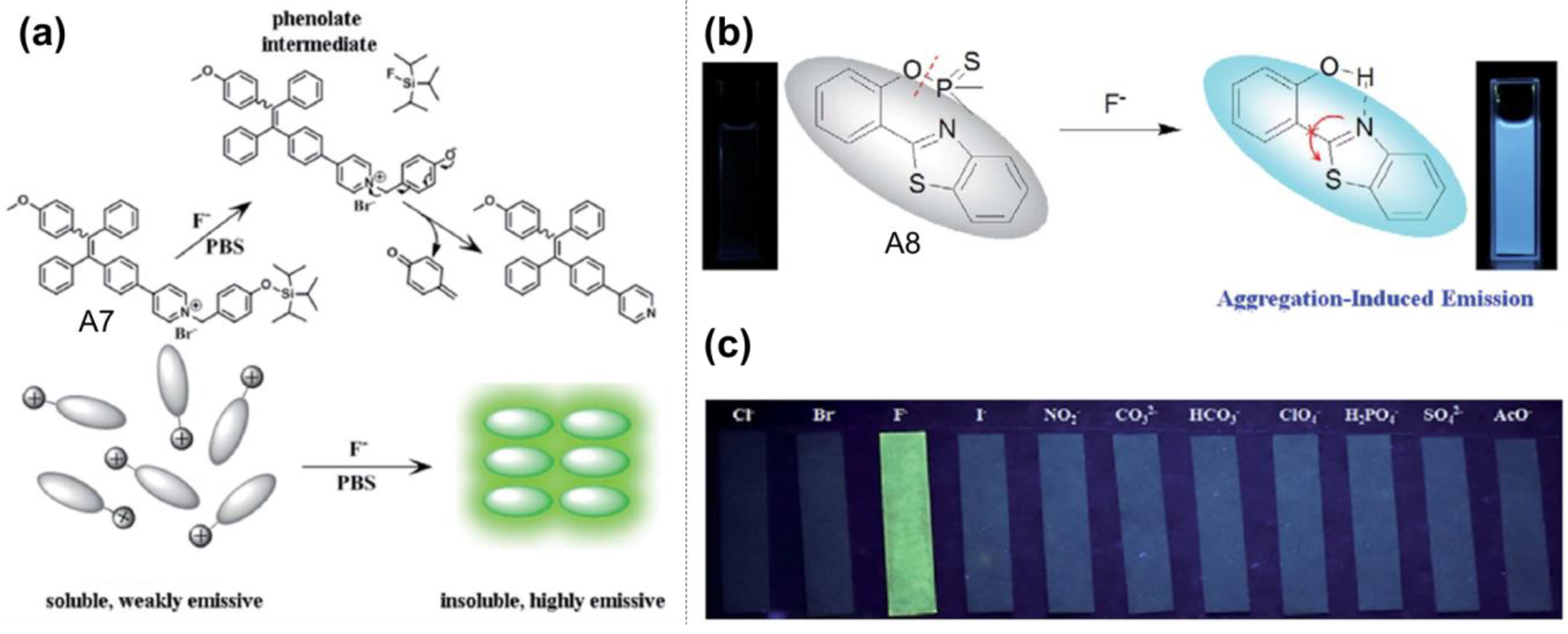 Molecules 24 02711 g003