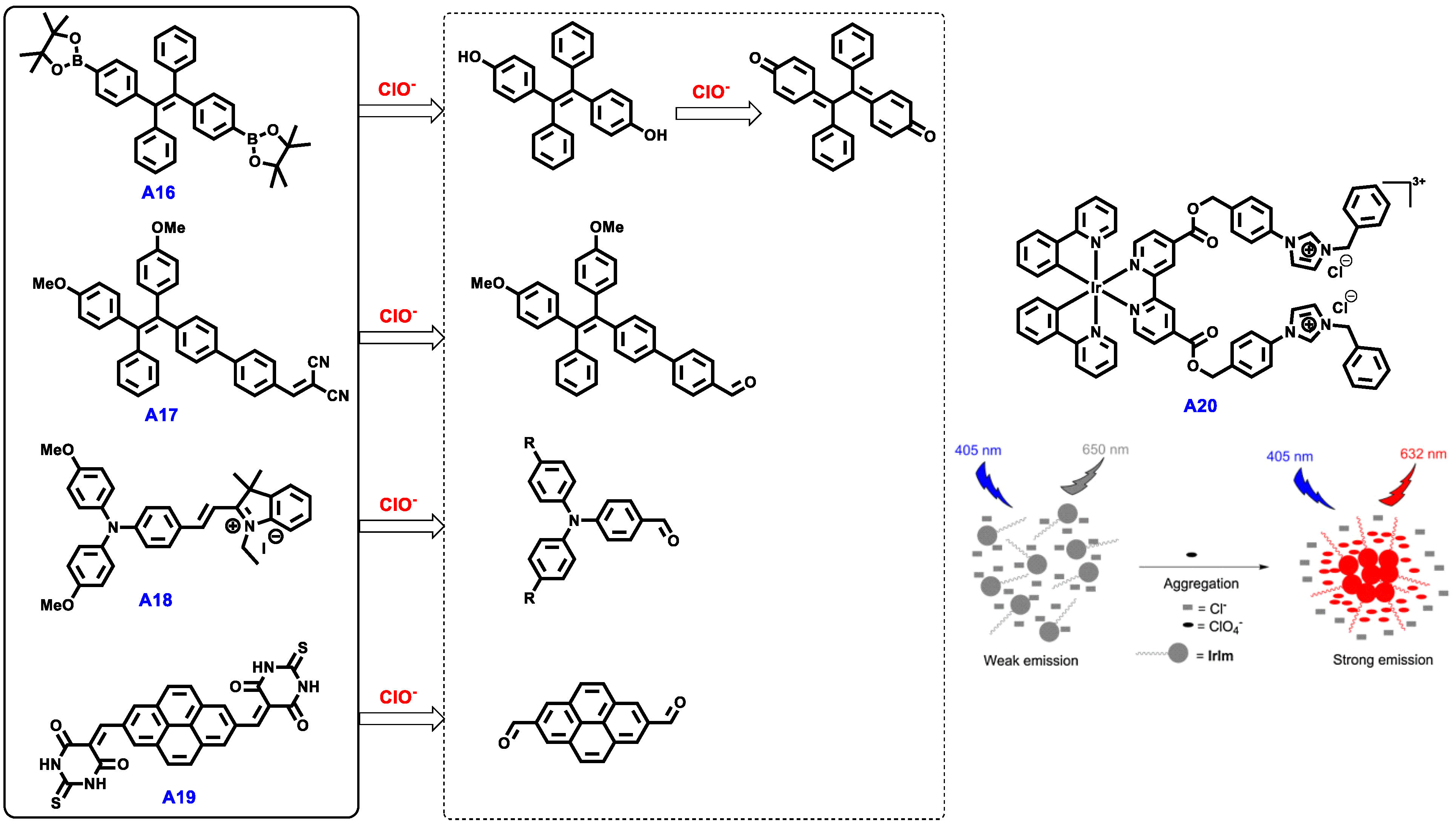 Molecules 24 02711 sch003