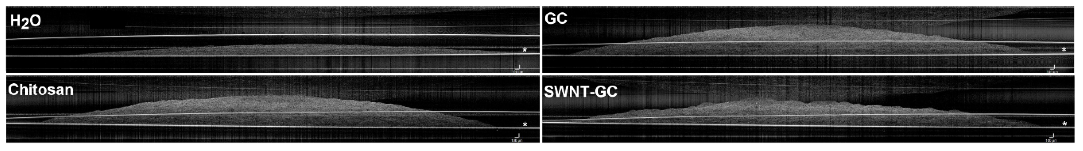 Molecules 24 02713 g002