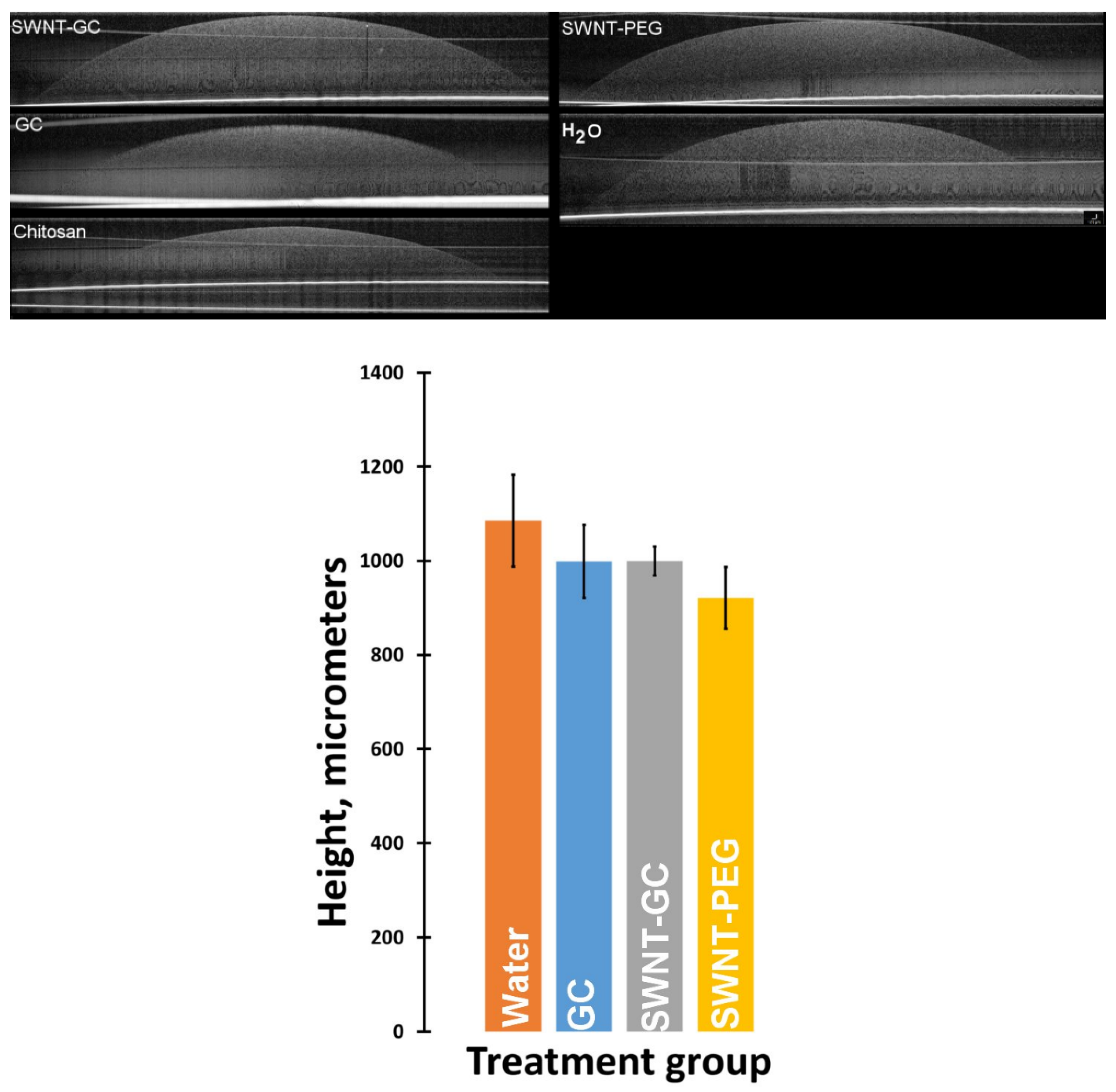 Molecules 24 02713 g003