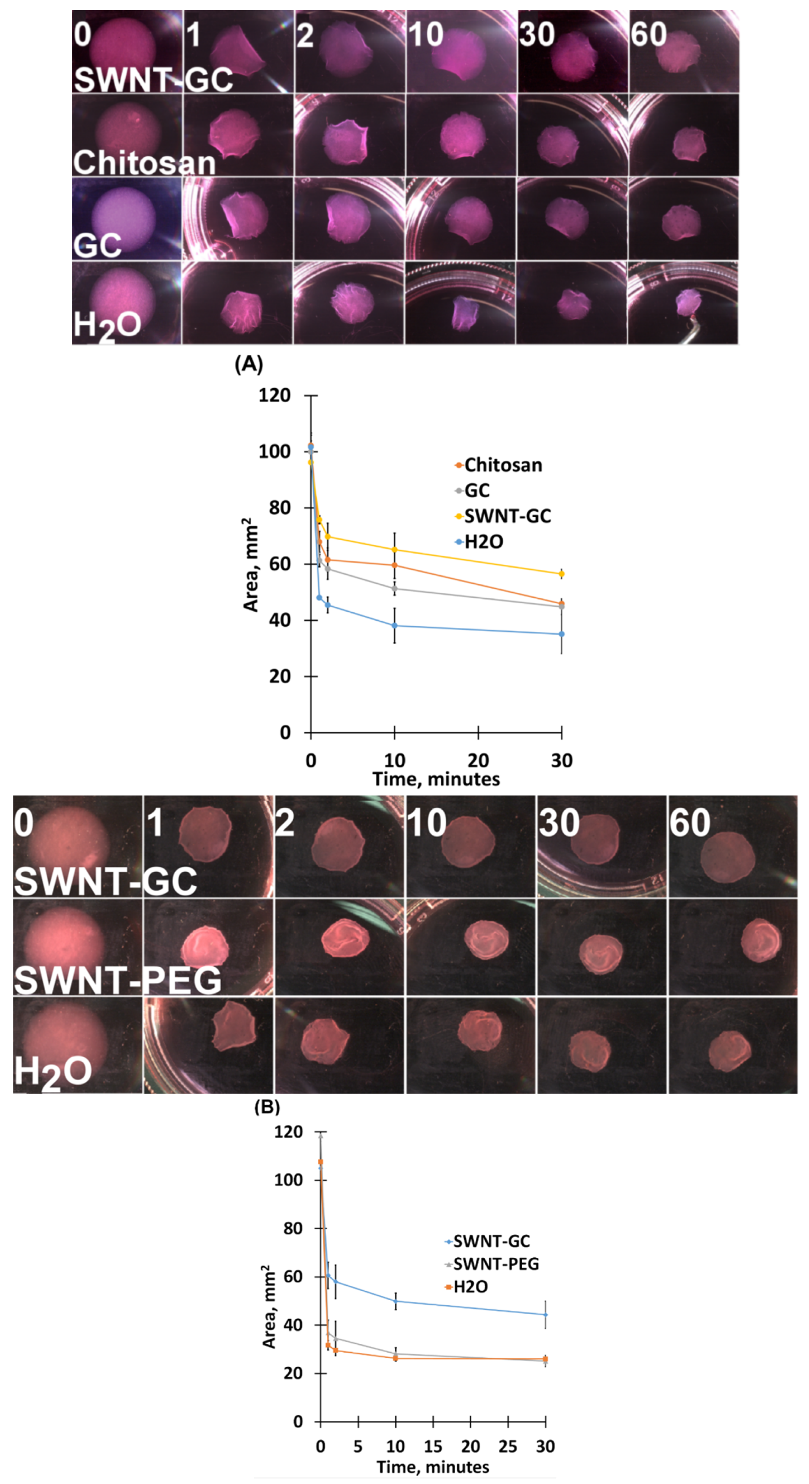 Molecules 24 02713 g004
