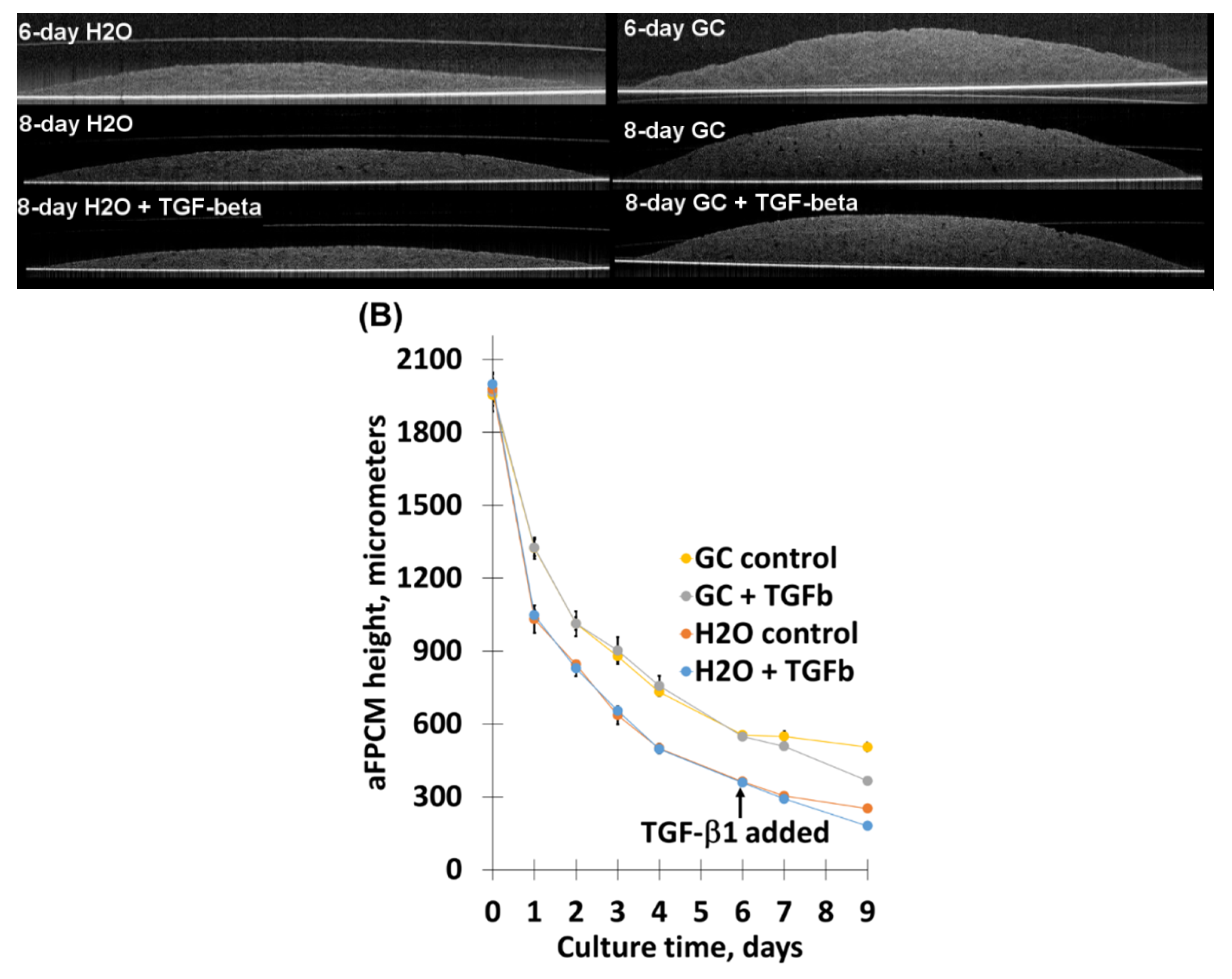 Molecules 24 02713 g005