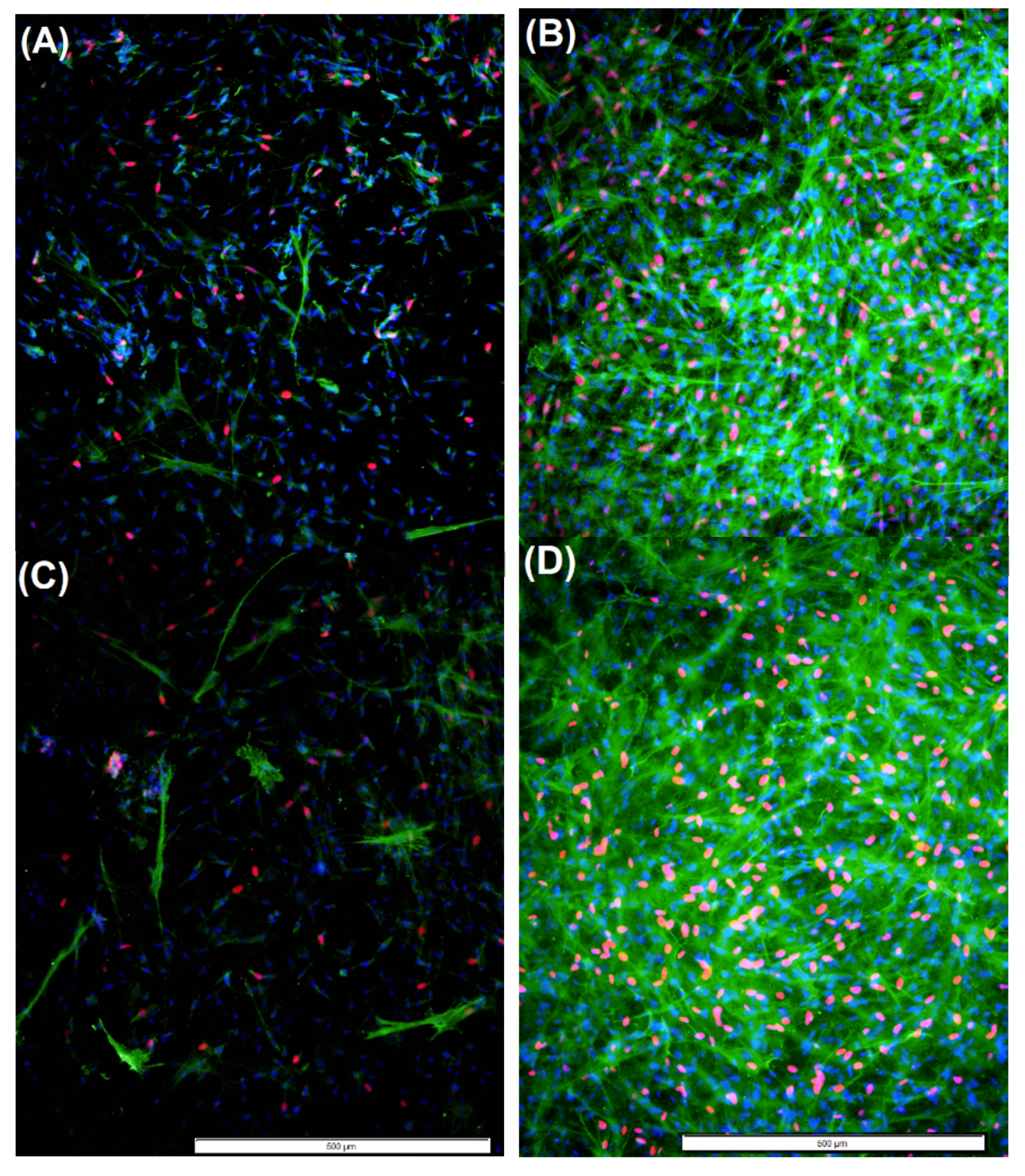 Molecules 24 02713 g007