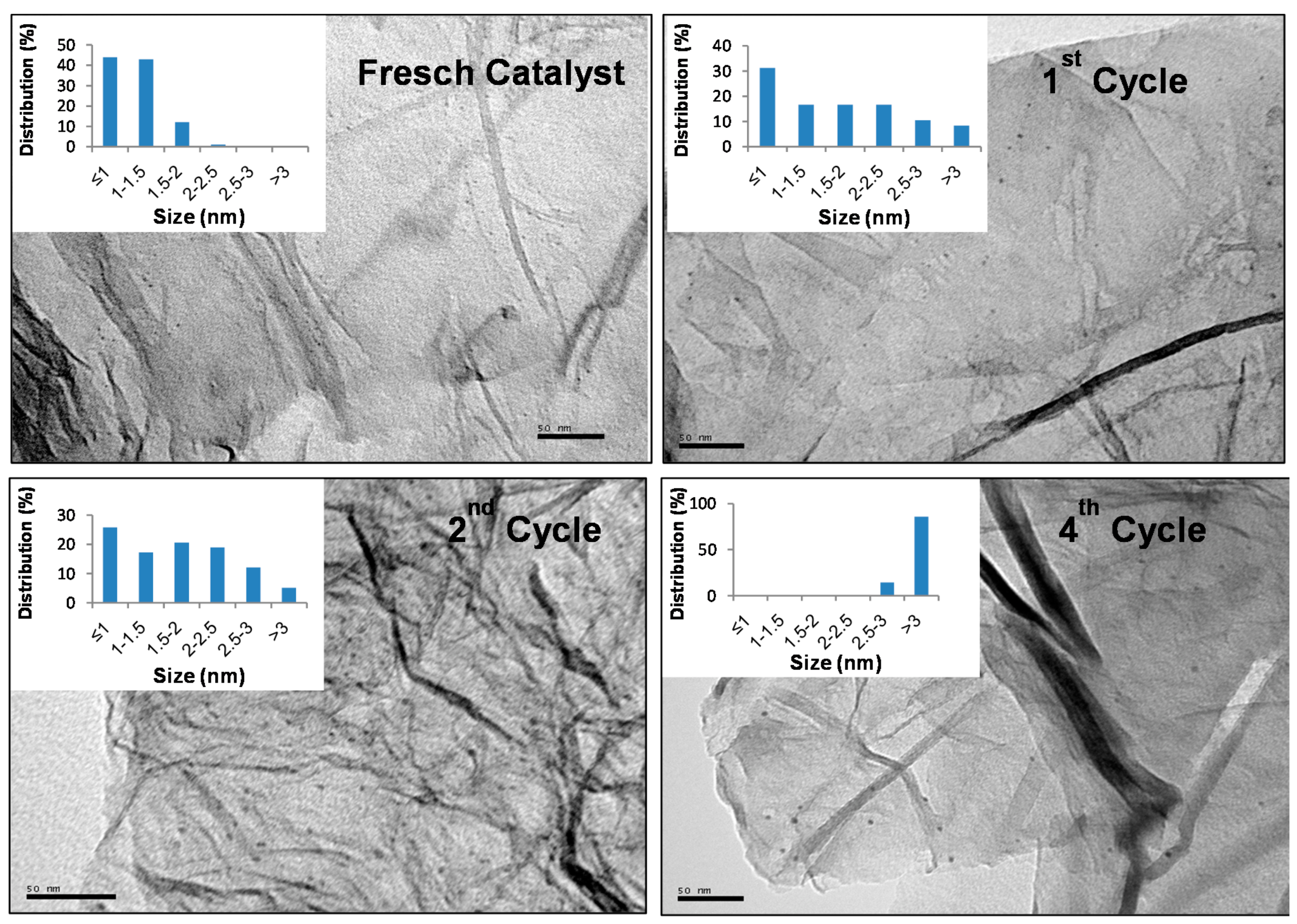 Molecules 24 02714 g010