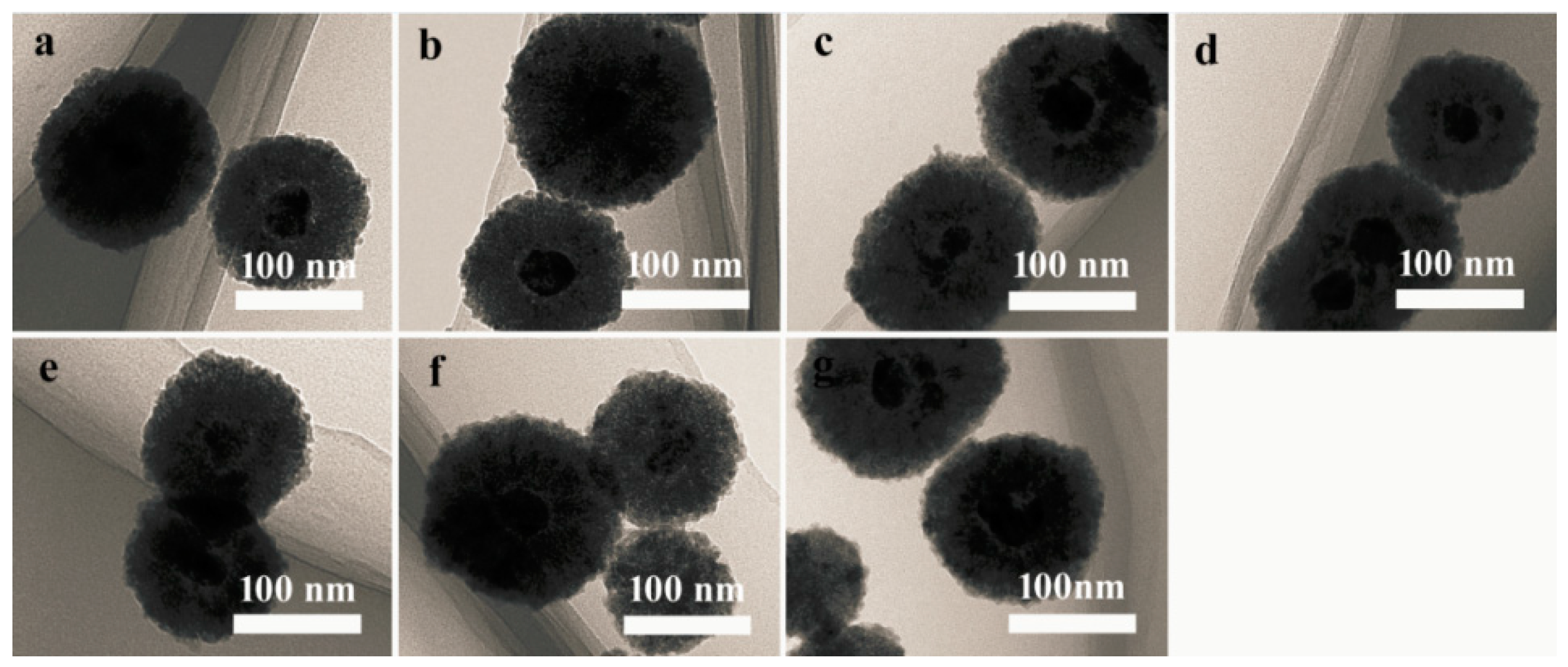Molecules 24 02721 g001