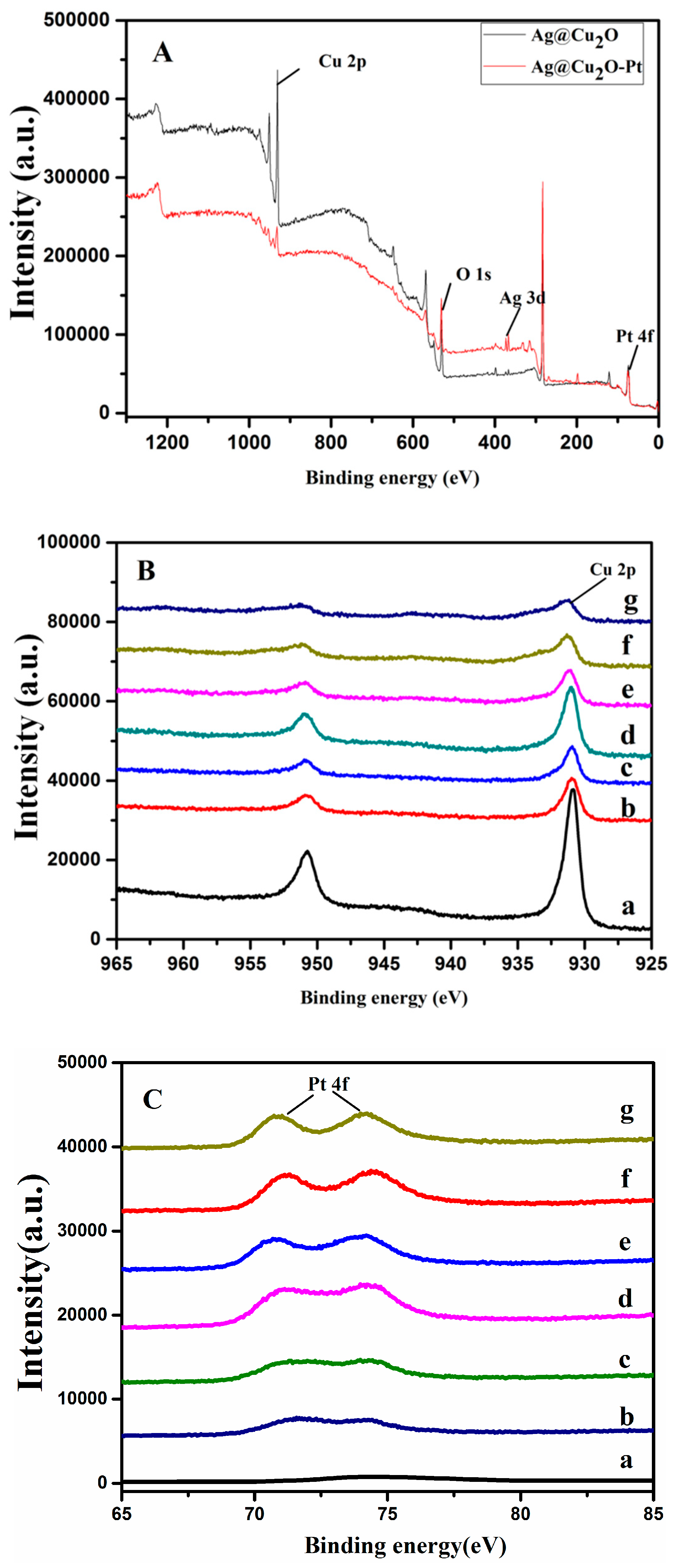 Molecules 24 02721 g004