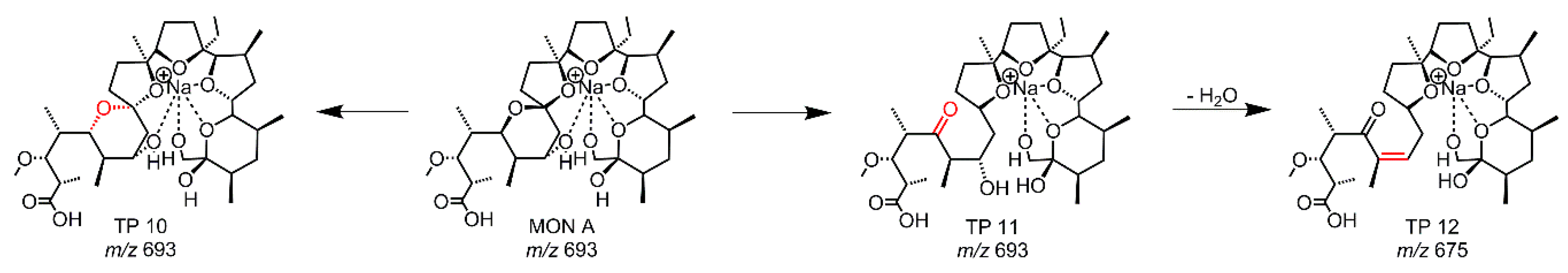 Molecules 24 02732 g006