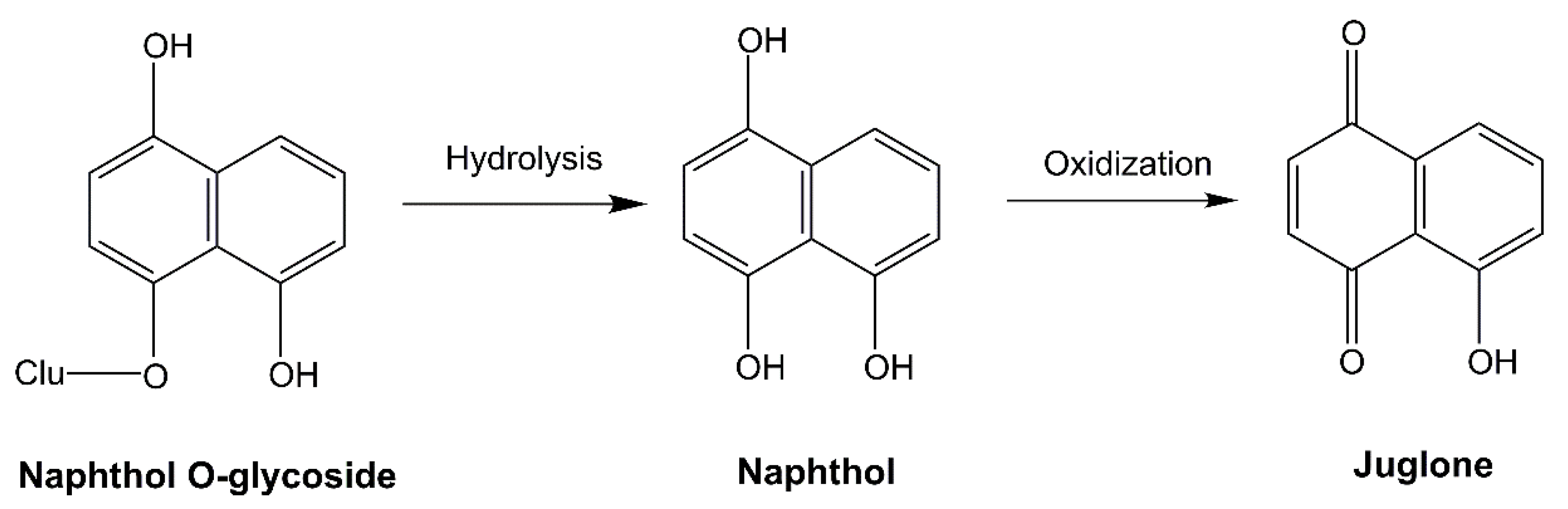 Molecules 24 02737 g001