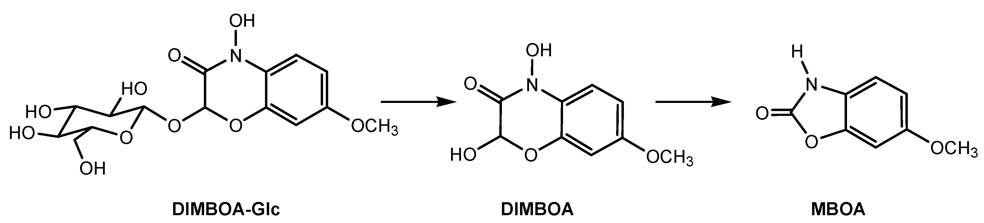 Molecules 24 02737 g004
