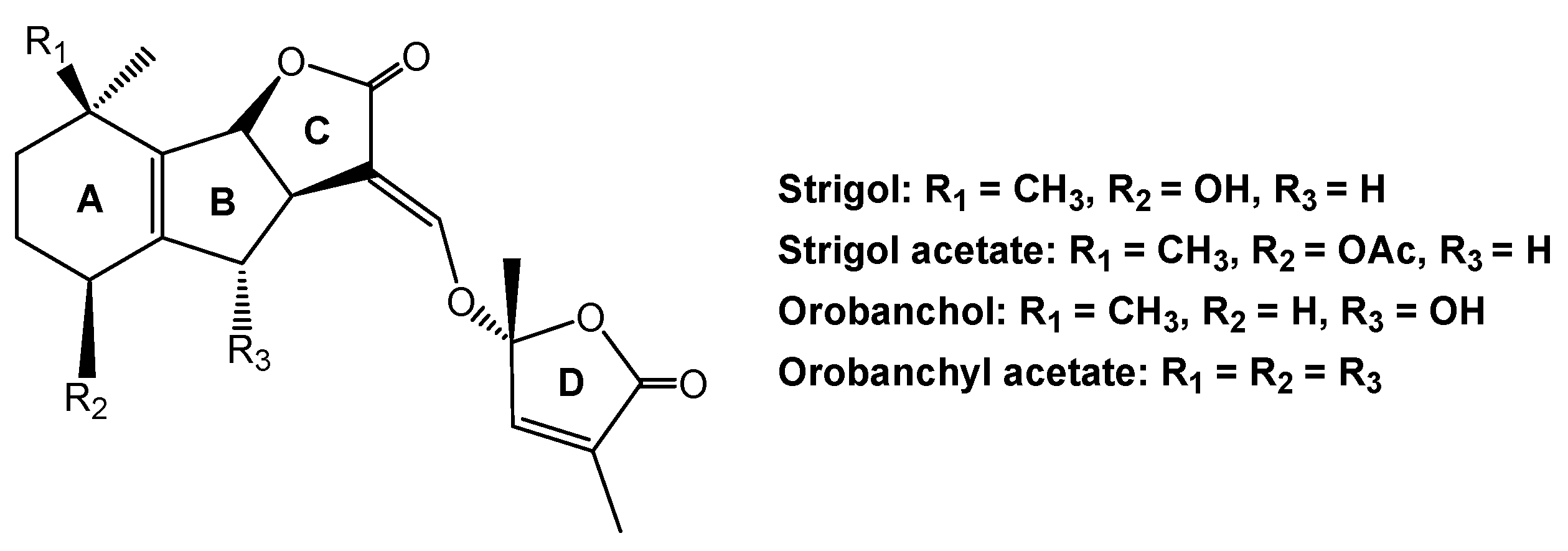 Molecules 24 02737 g006