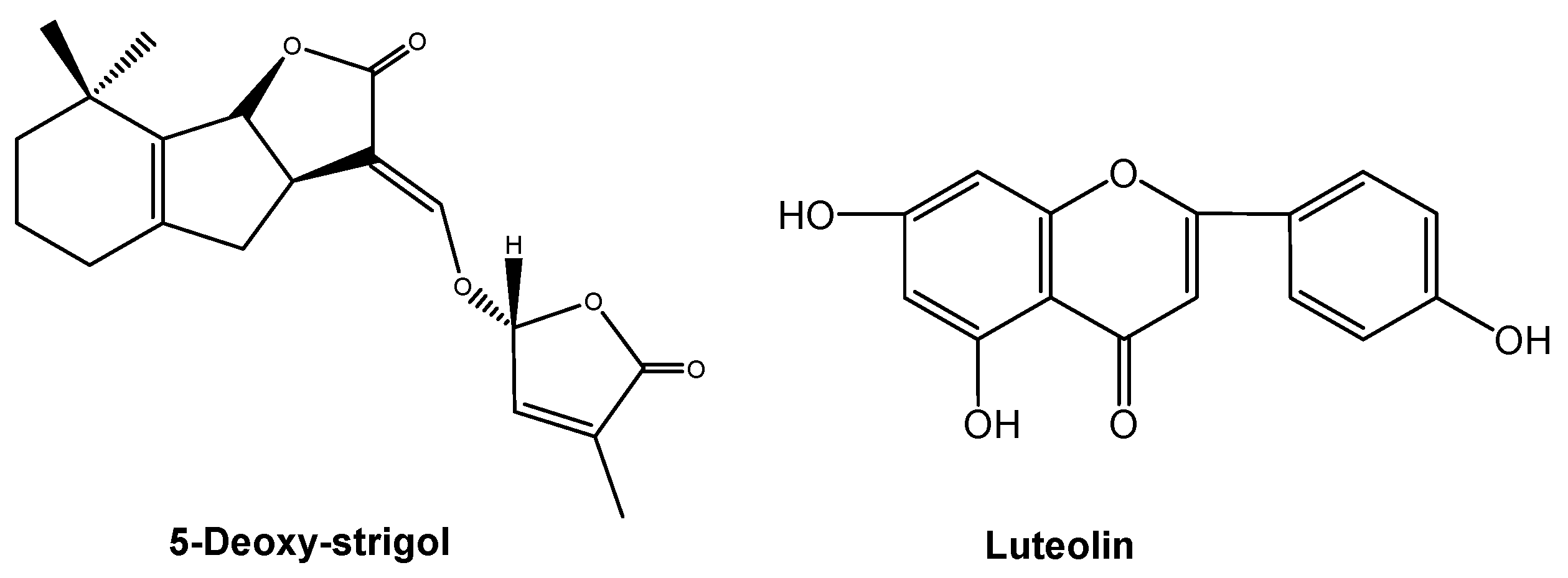 Molecules 24 02737 g007