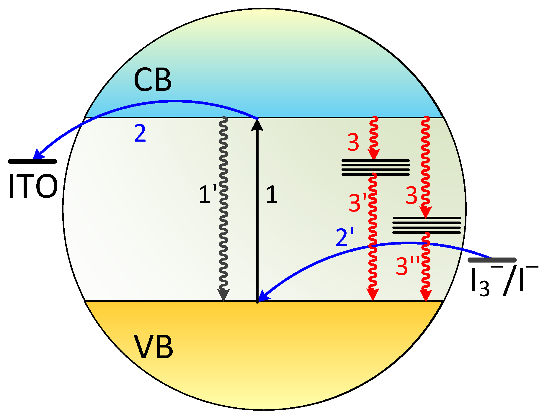 Molecules 24 02738 g004