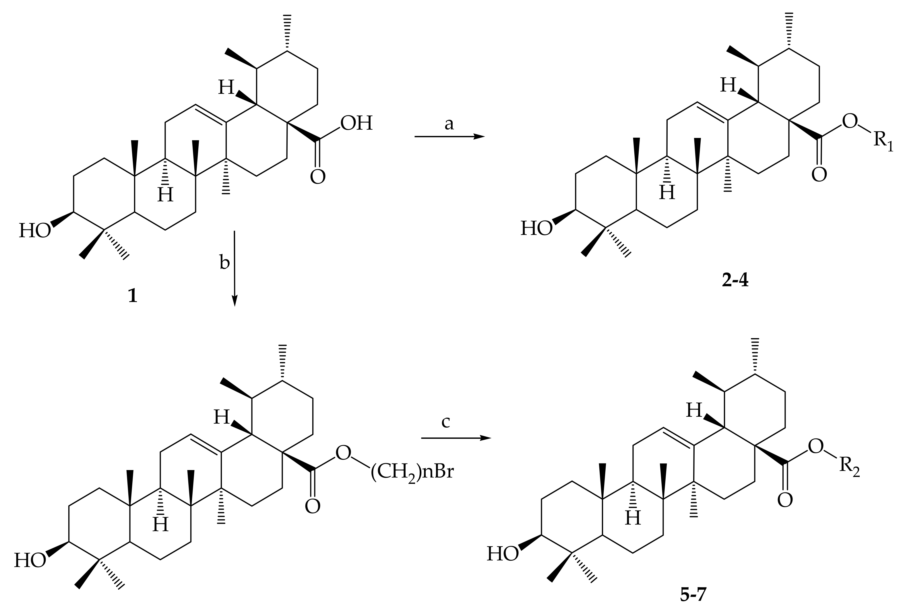 Molecules 24 02751 g002 Molecules 24 02751 g002