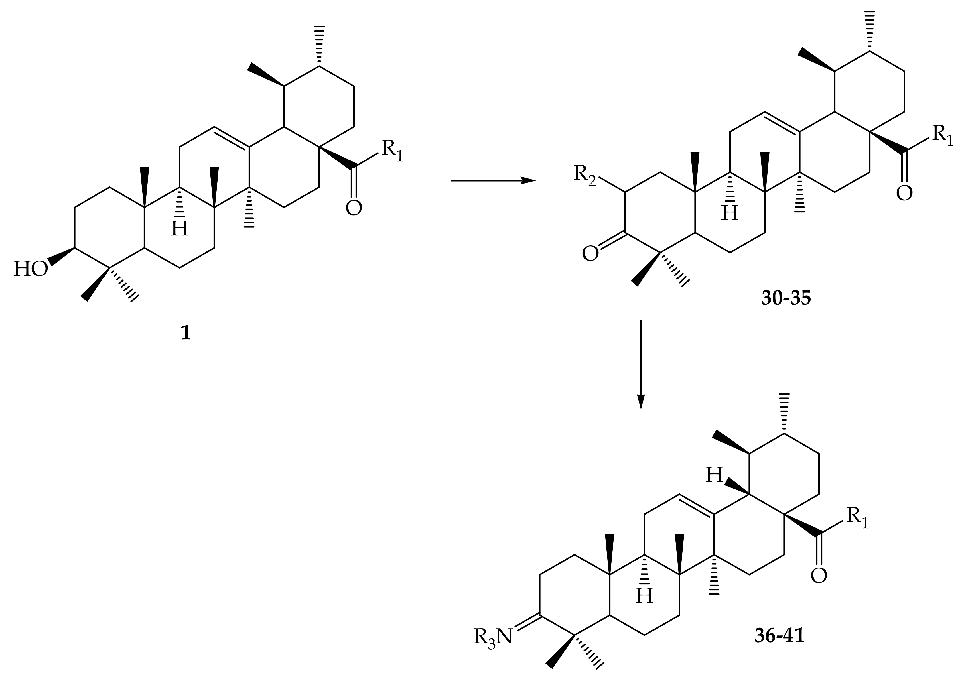 Molecules 24 02751 g006 Molecules 24 02751 g006