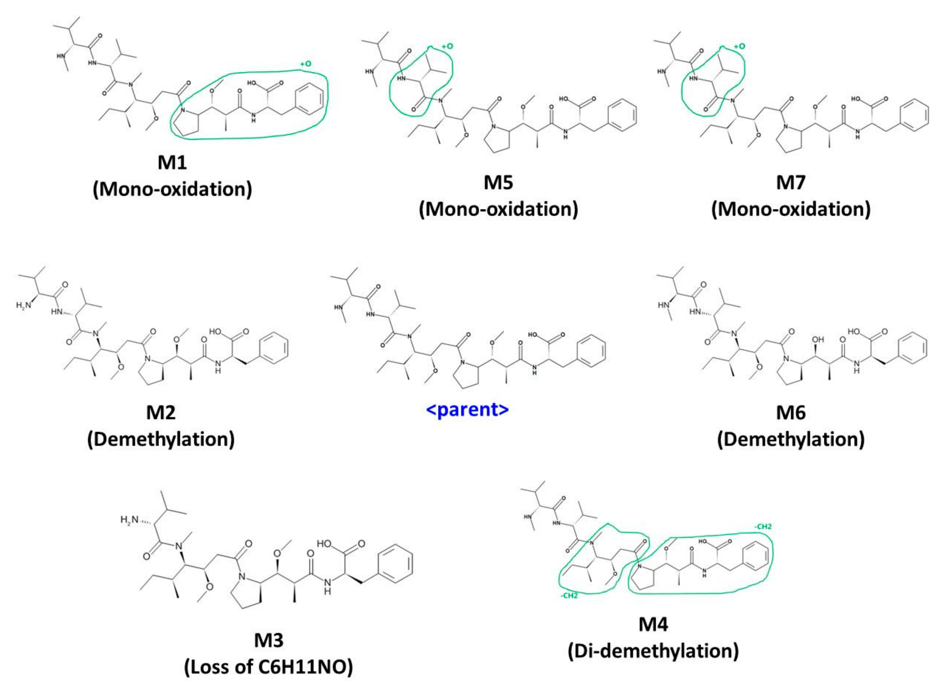 Molecules 24 02754 g006