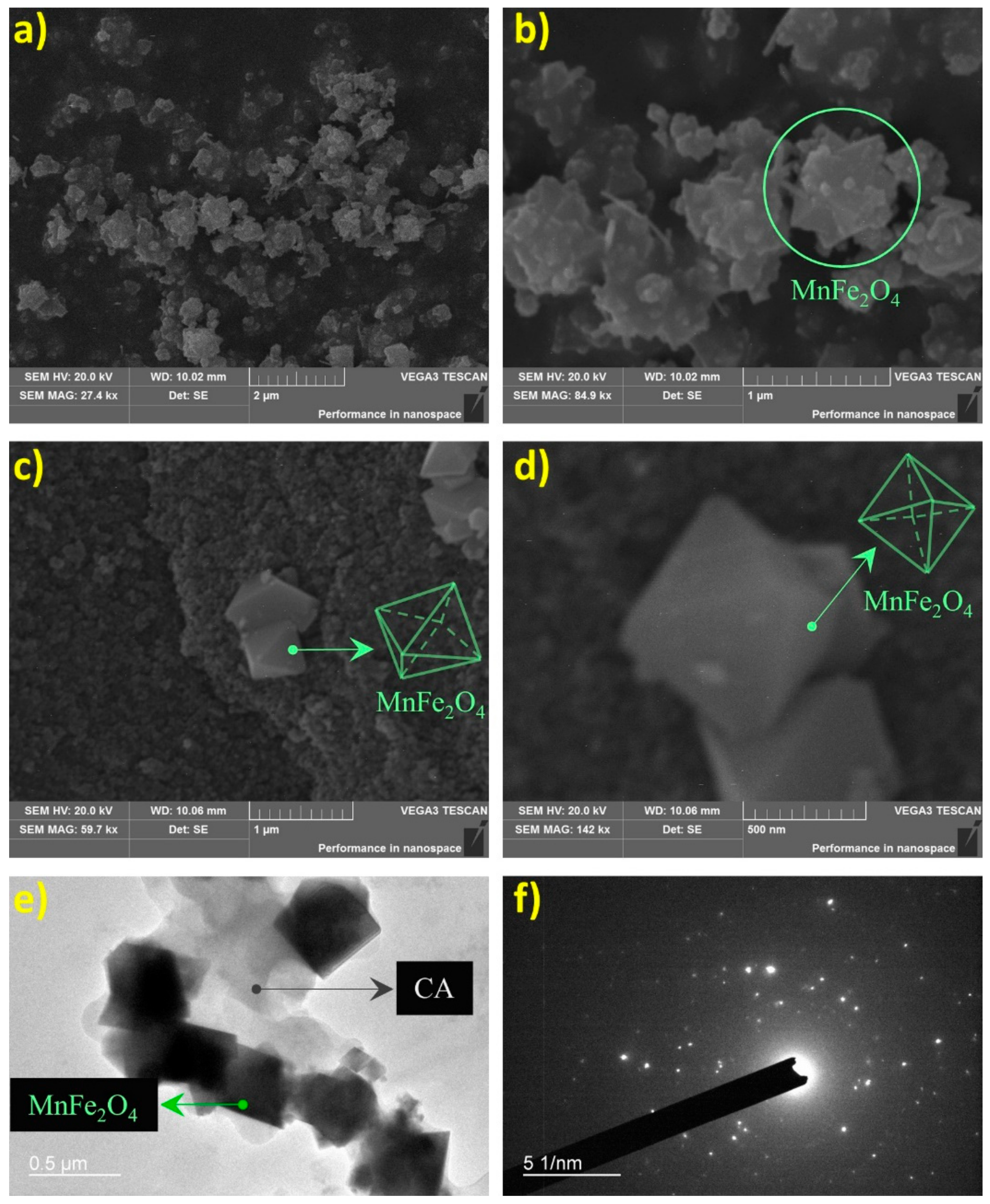 Molecules 24 02755 g003