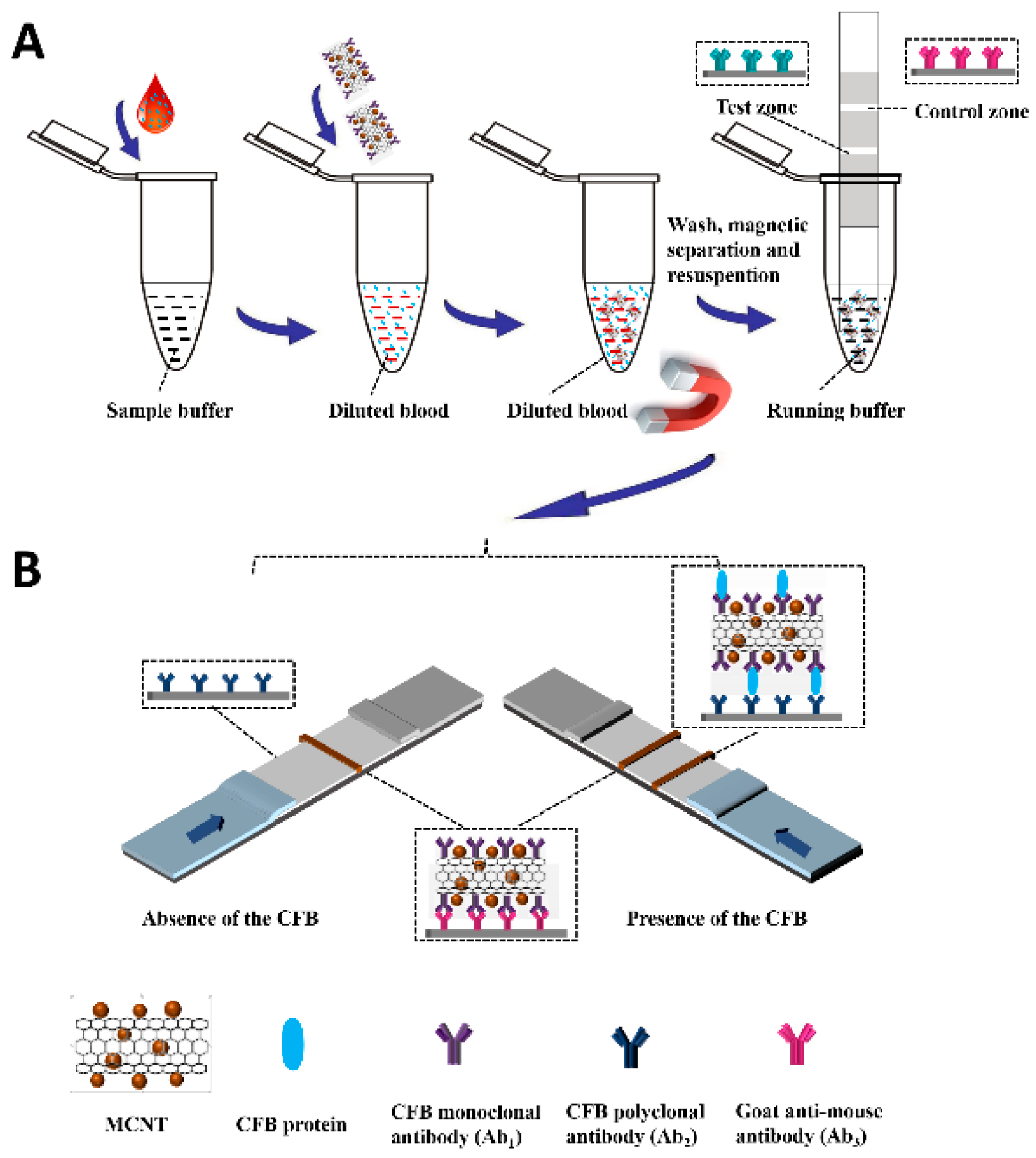 Molecules 24 02759 g002
