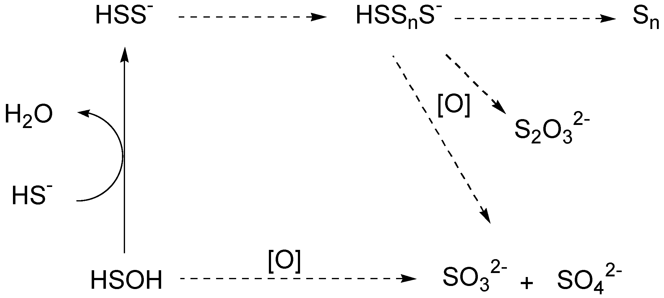 Molecules 24 02768 sch002 Molecules 24 02768 sch002
