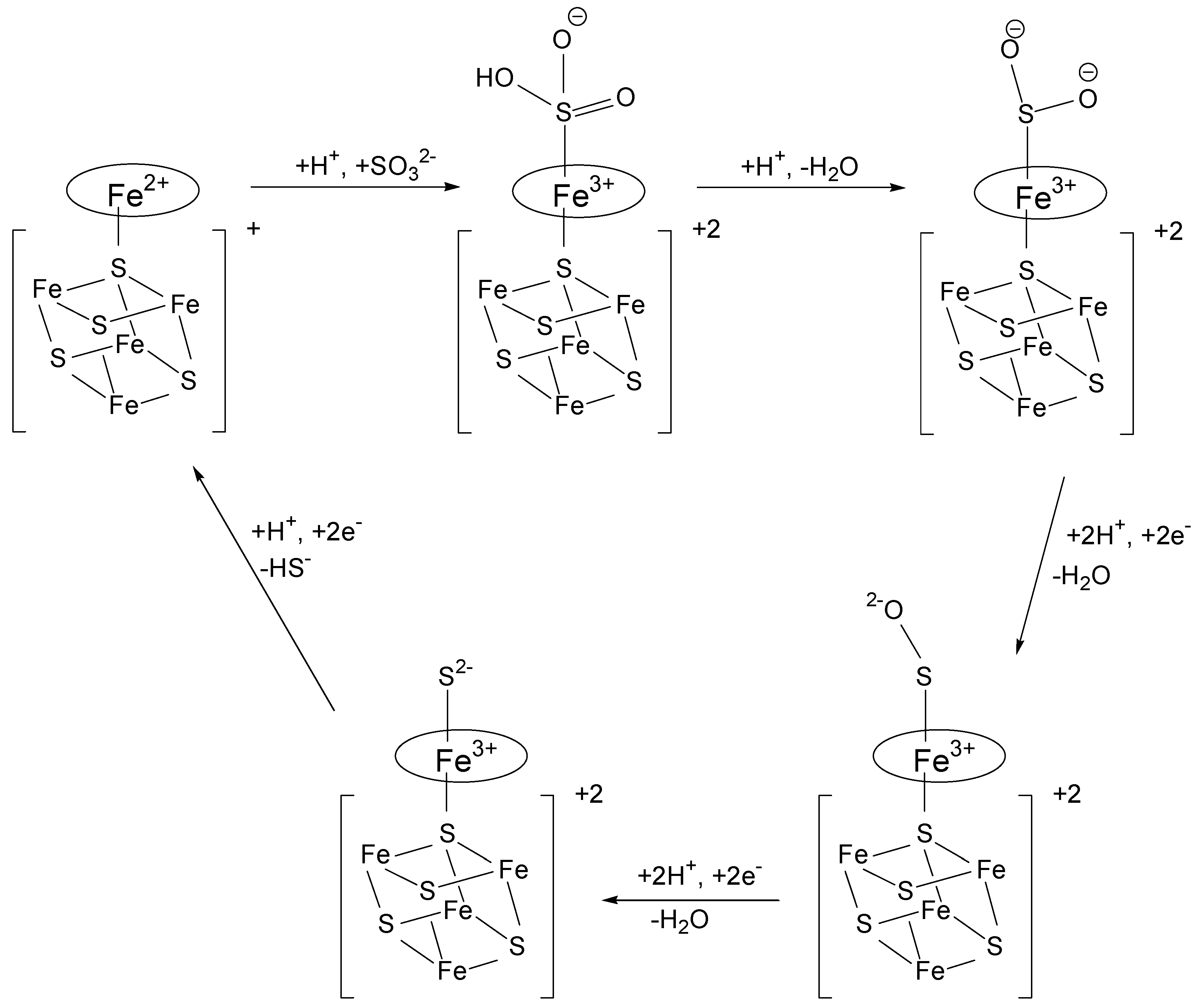 Molecules 24 02768 sch005 Molecules 24 02768 sch005