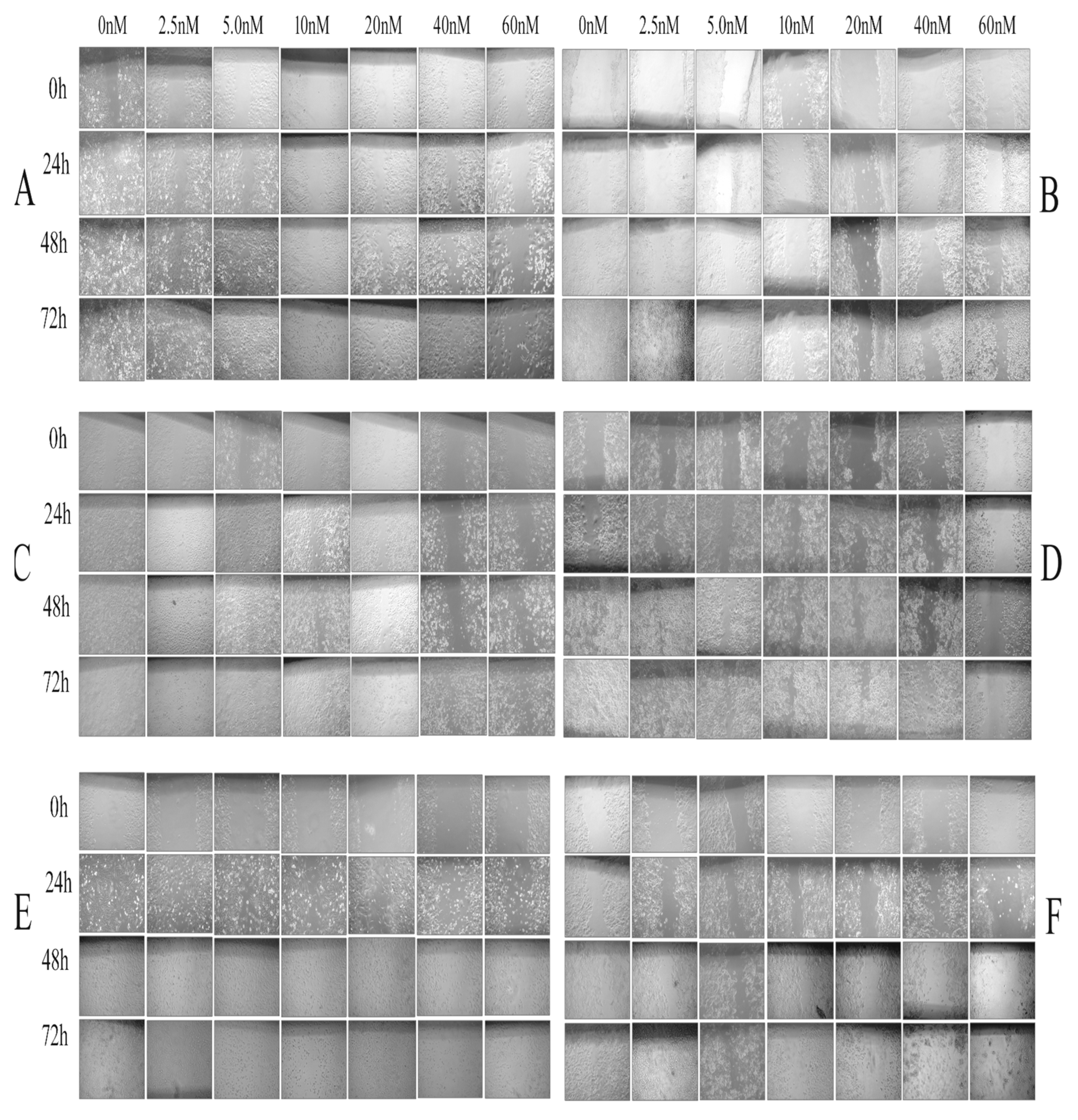 Molecules 24 02772 g005 Molecules 24 02772 g005
