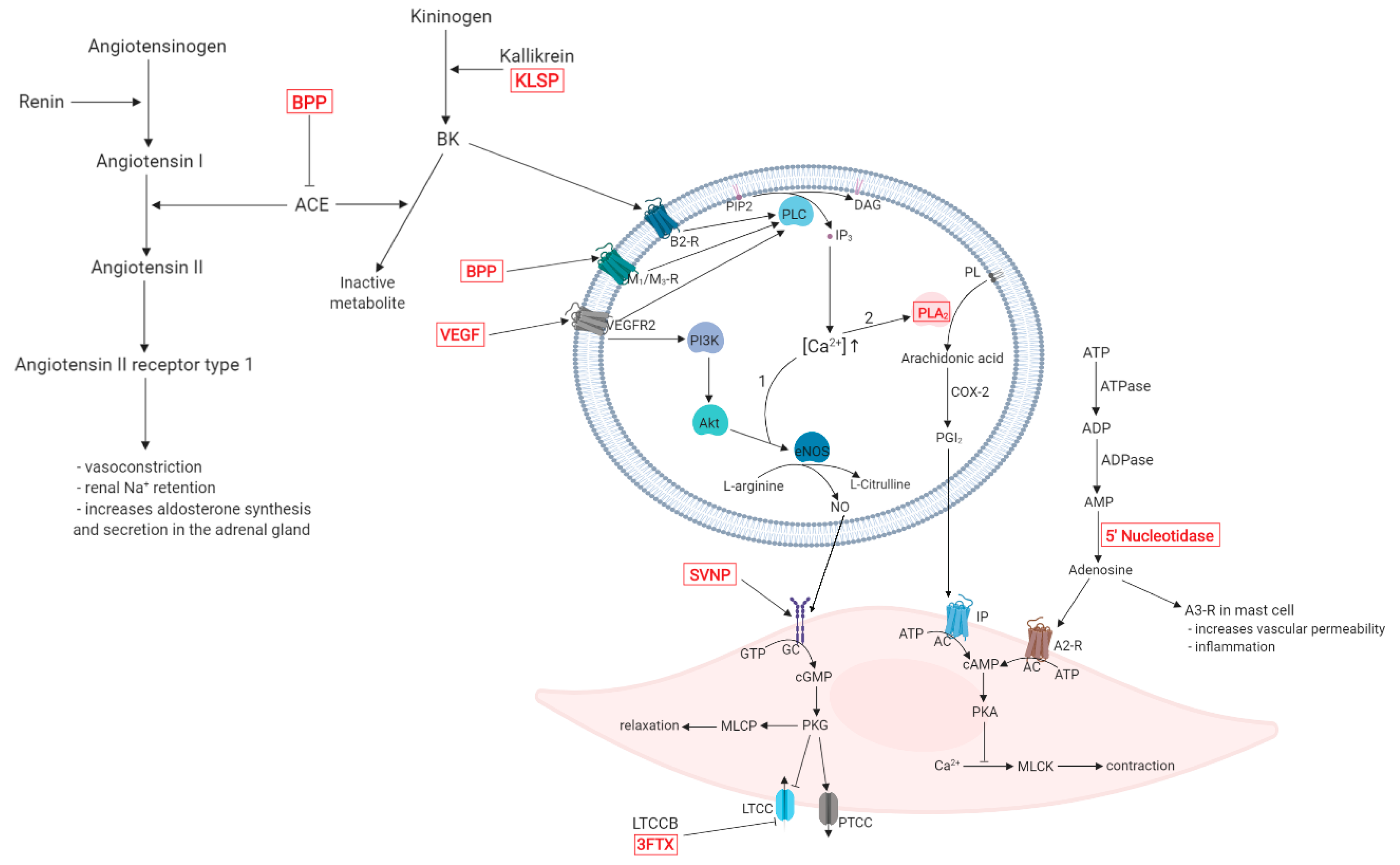Molecules 24 02778 g001