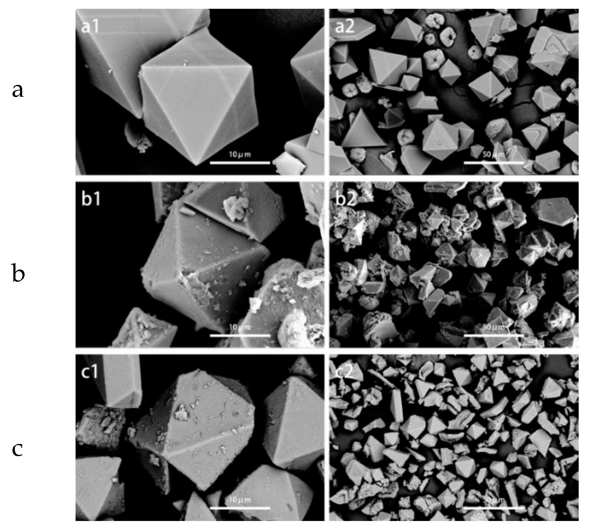 Molecules 24 02779 g003