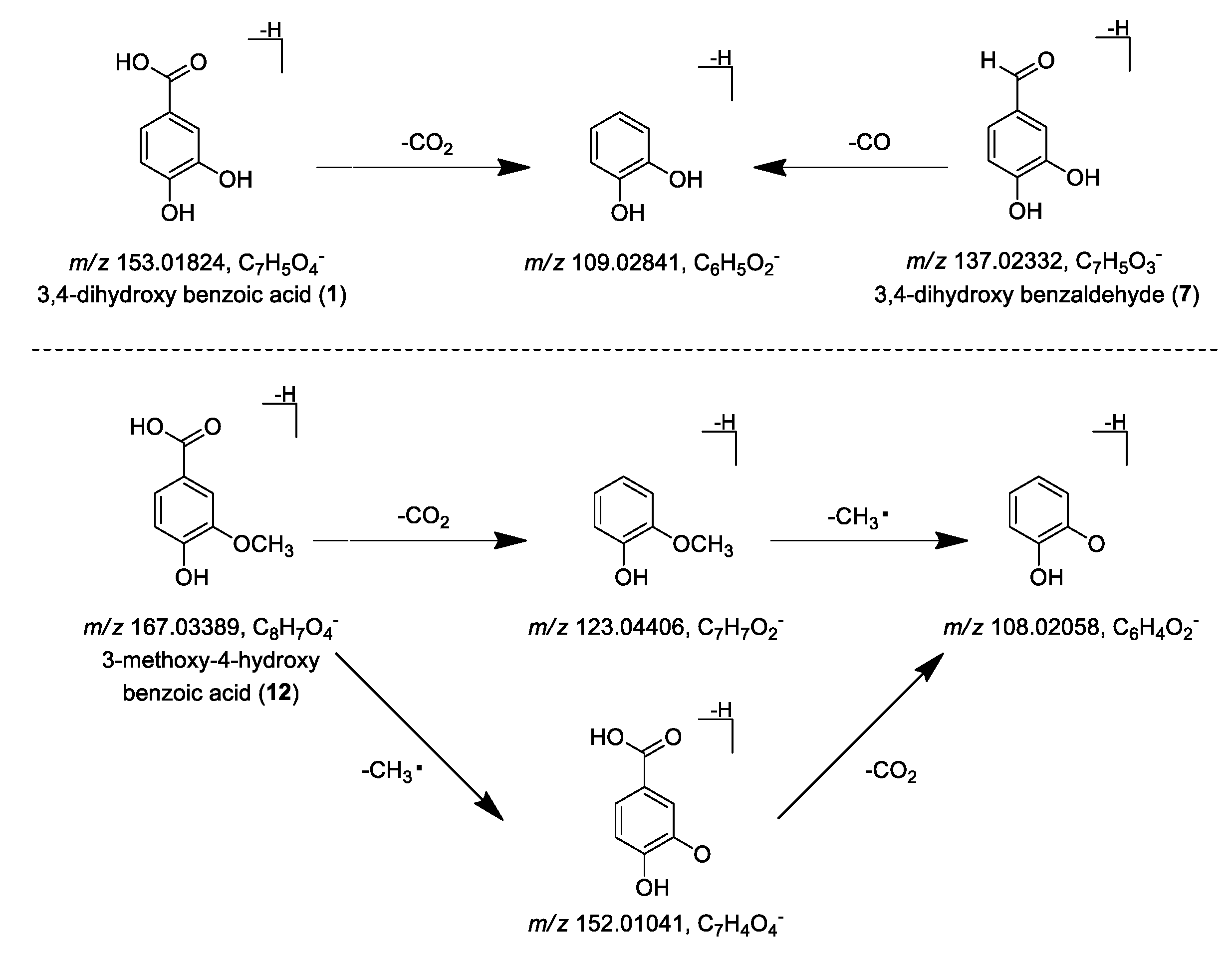 Molecules 24 02784 g004
