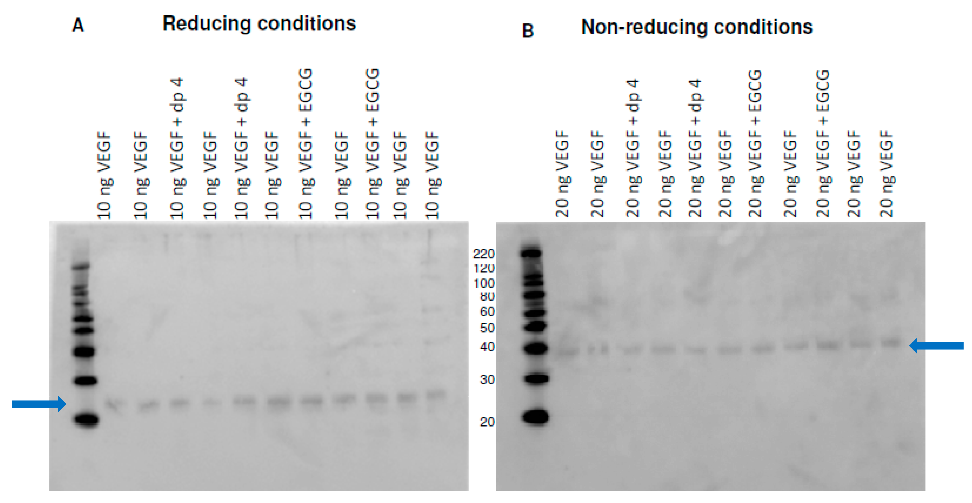 Molecules 24 02785 g002