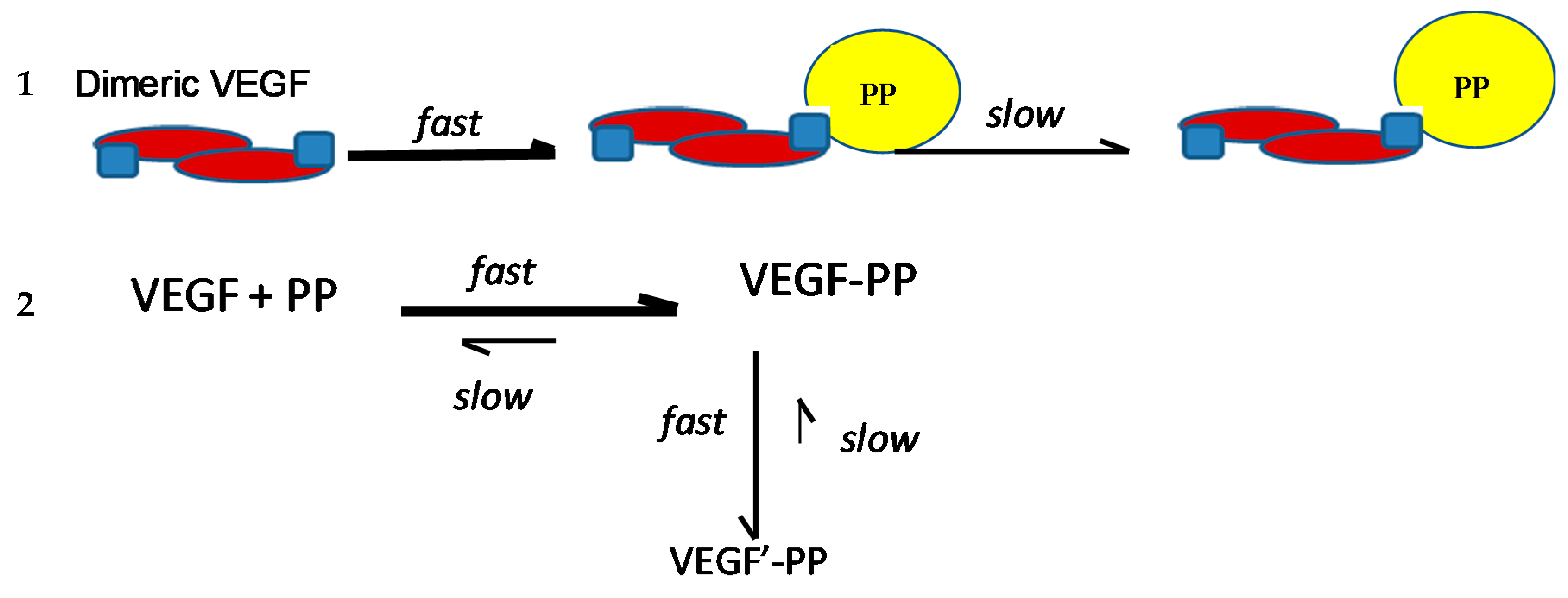 Molecules 24 02785 g006