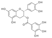 Molecules 24 02785 i001