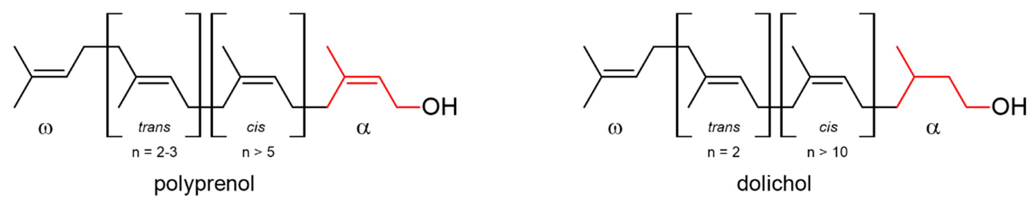 Molecules 24 02789 g001
